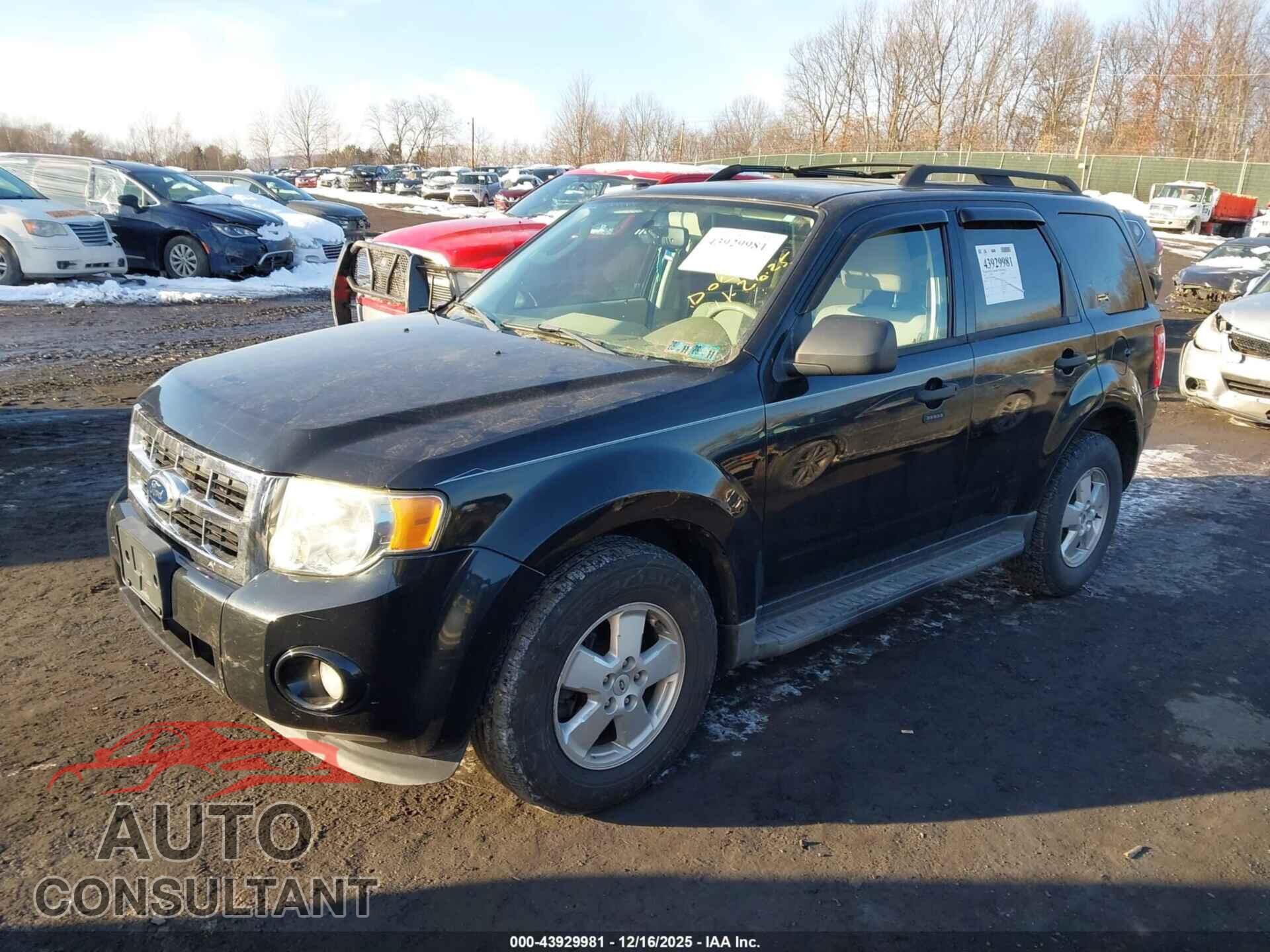 FORD ESCAPE 2011 - 1FMCU9D79BKB43383