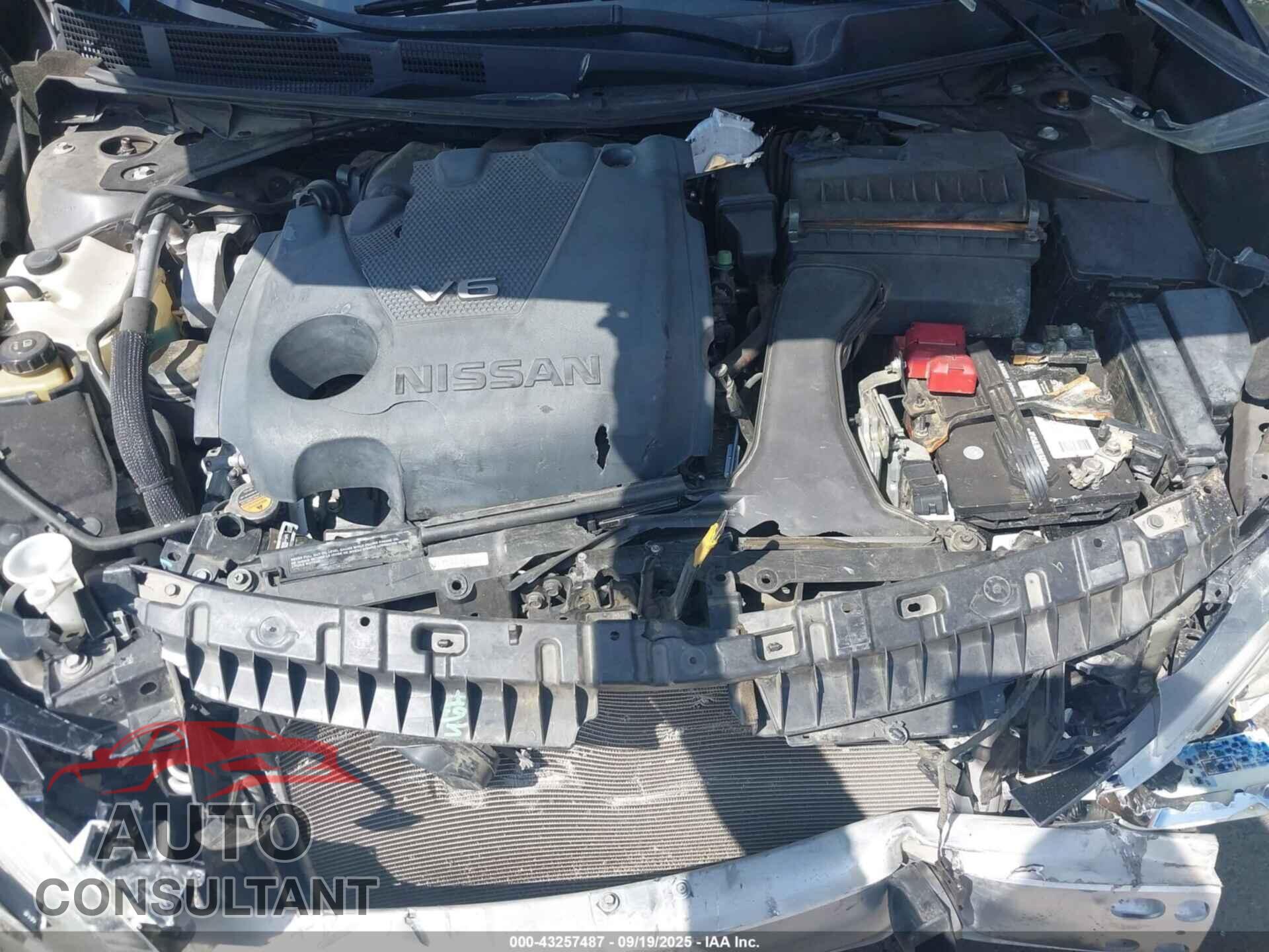 NISSAN MAXIMA 2017 - 1N4AA6AP6HC375794