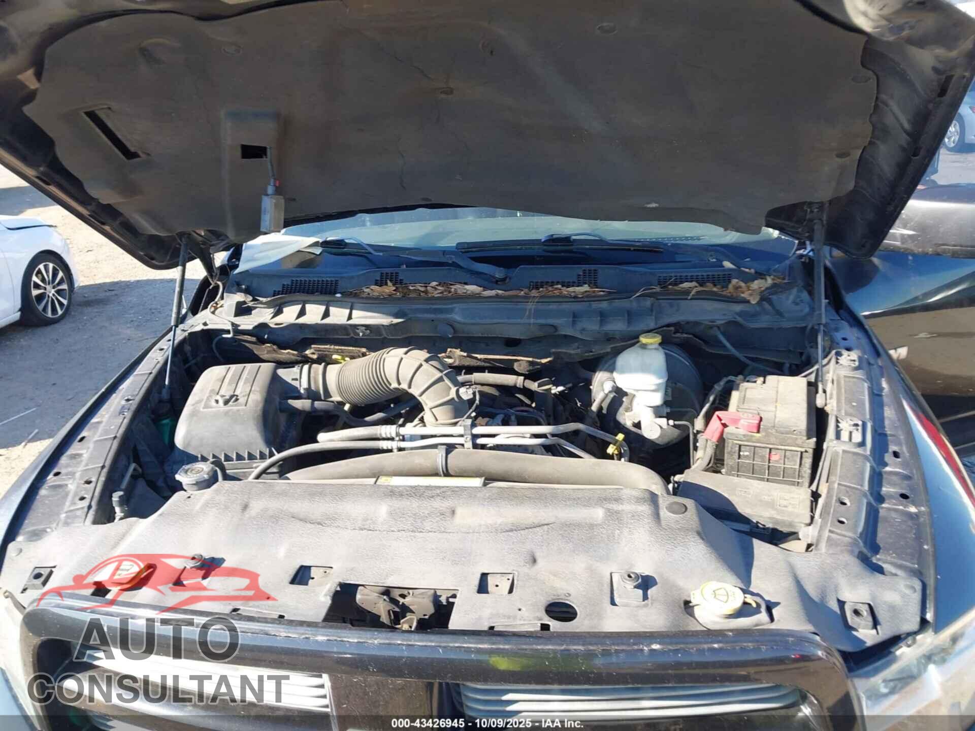 DODGE RAM 1500 2010 - 1D7RB1CT4AS206141
