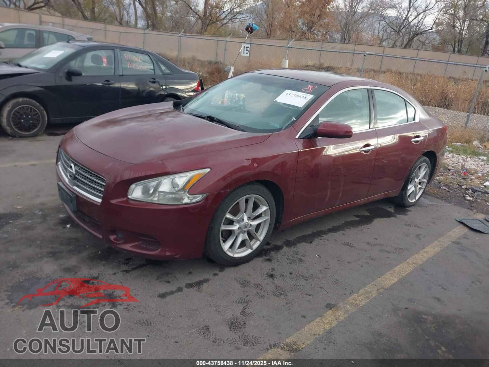 NISSAN MAXIMA 2010 - 1N4AA5AP1AC809264