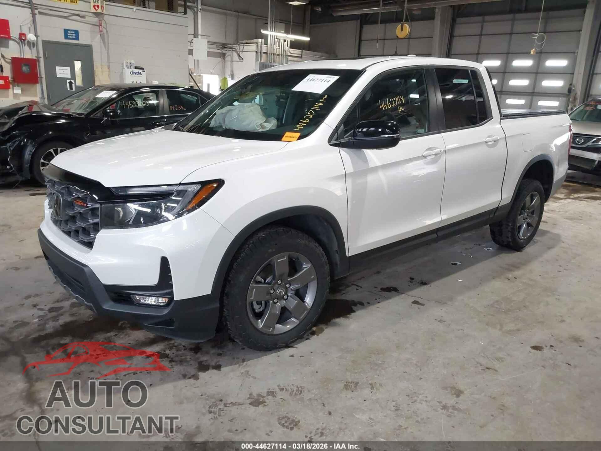 HONDA RIDGELINE 2024 - 5FPYK3F61RB012013