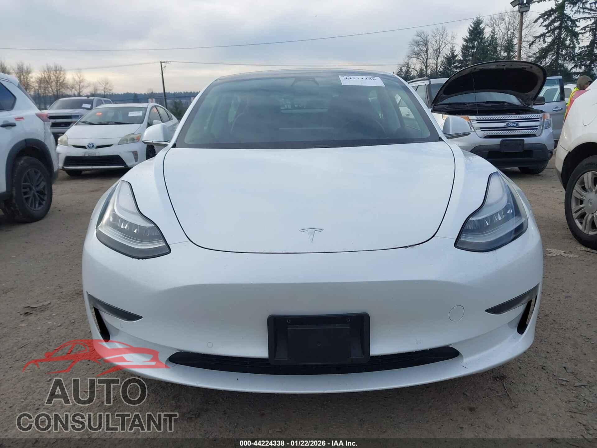 TESLA MODEL 3 2019 - 5YJ3E1EAXKF485032