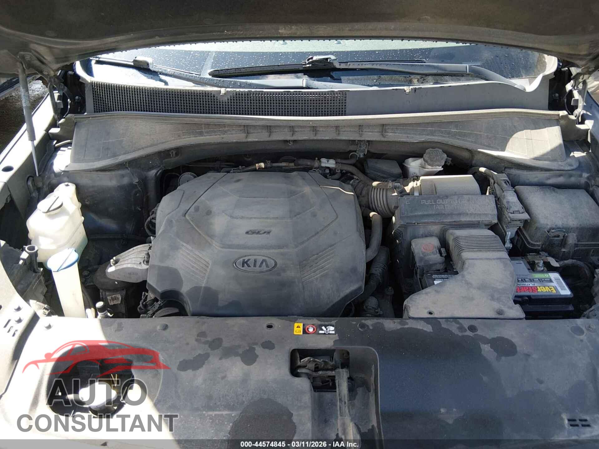 KIA SORENTO 2019 - 5XYPGDA53KG556604
