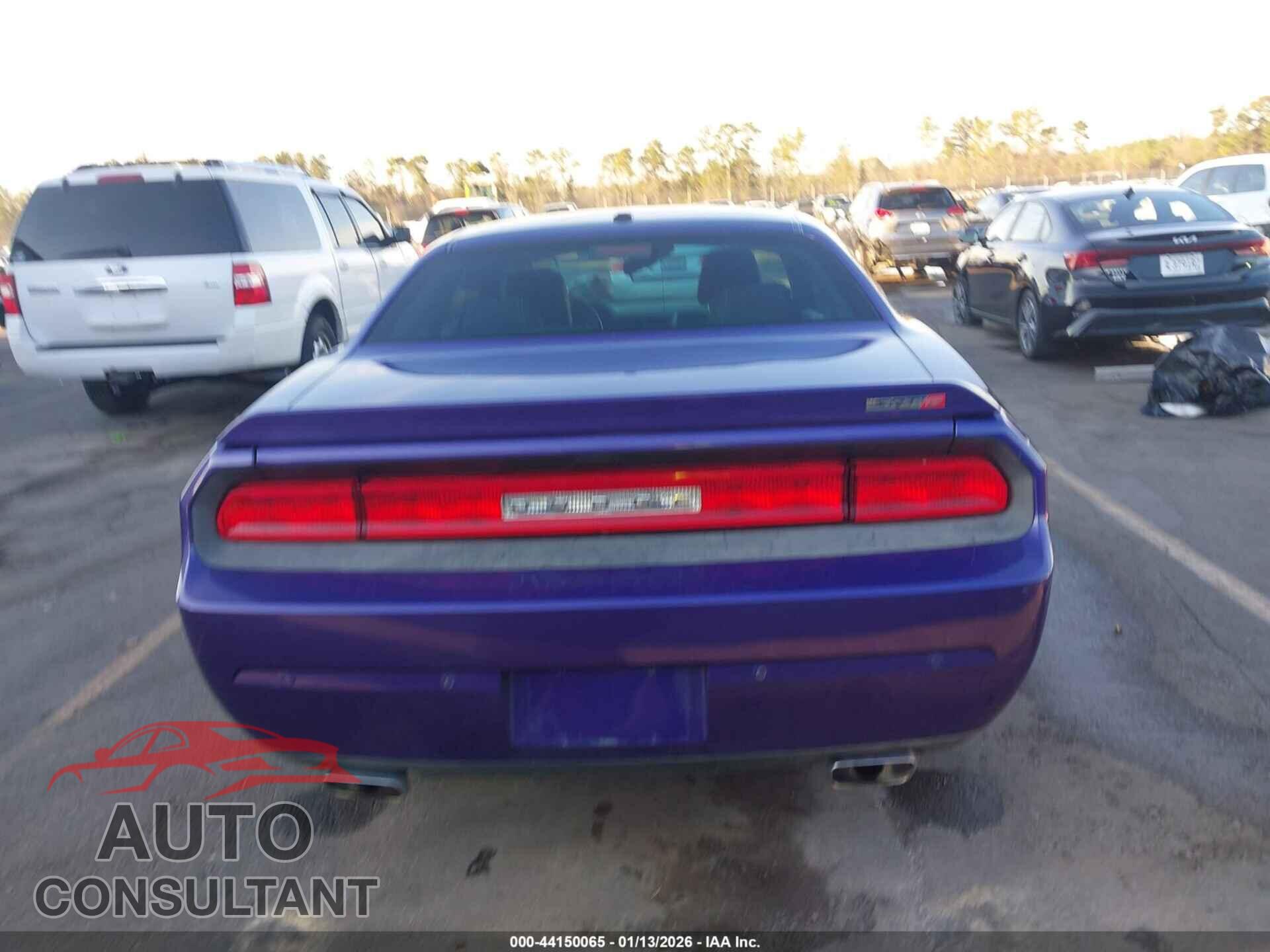 DODGE CHALLENGER 2013 - 2C3CDYCJ8DH679428