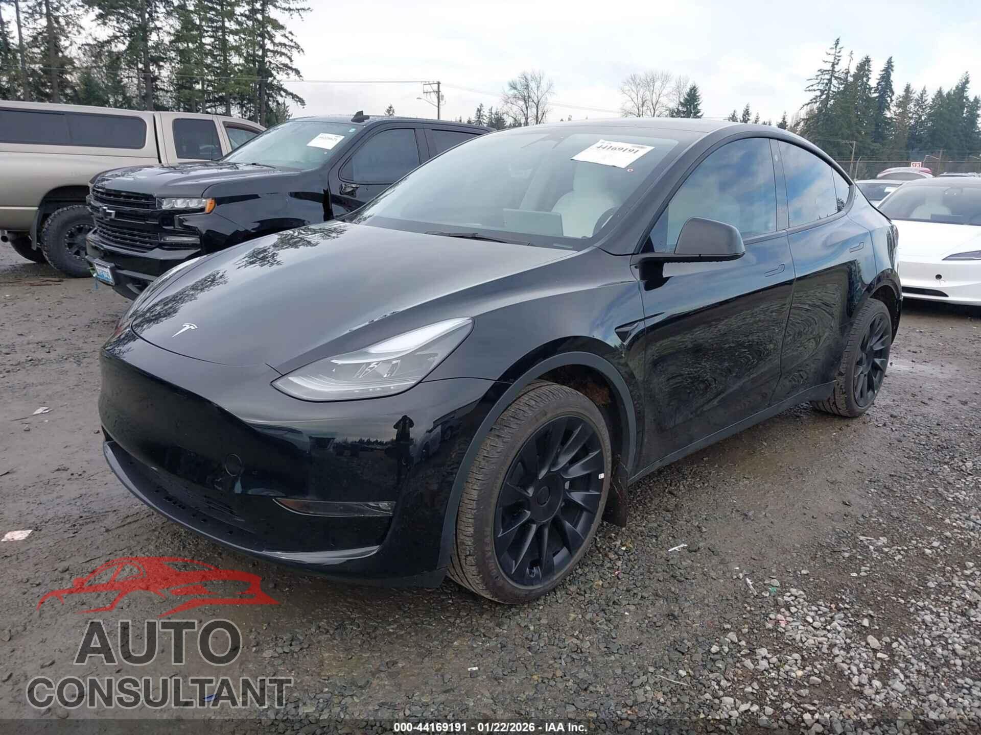 TESLA MODEL Y 2023 - 7SAYGAEE3PF646429
