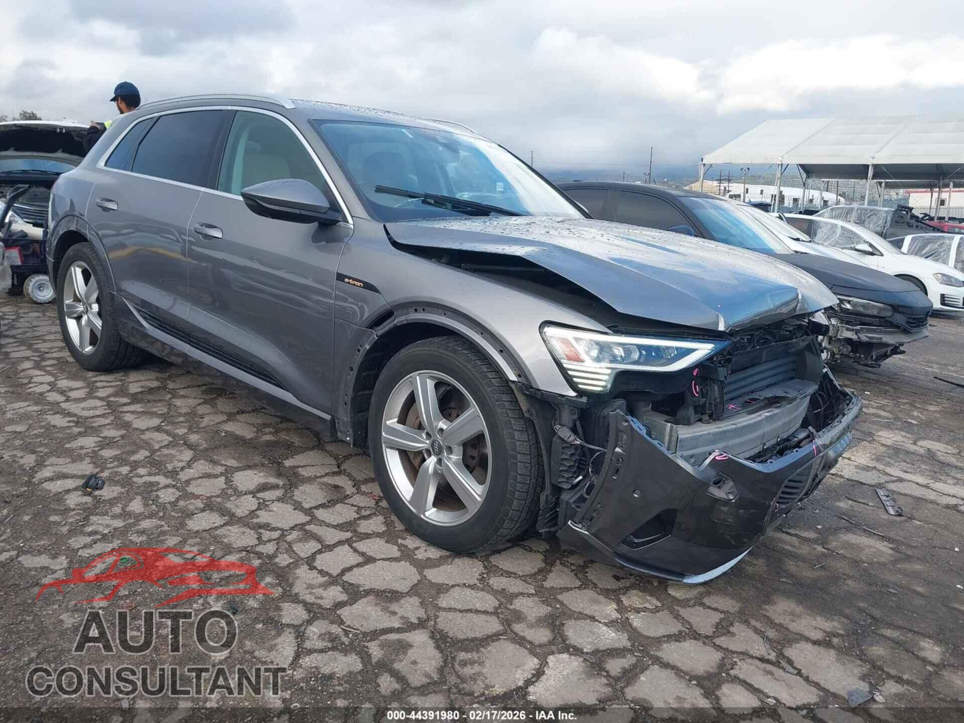 AUDI E-TRON 2019 - WA1LAAGE2KB009415