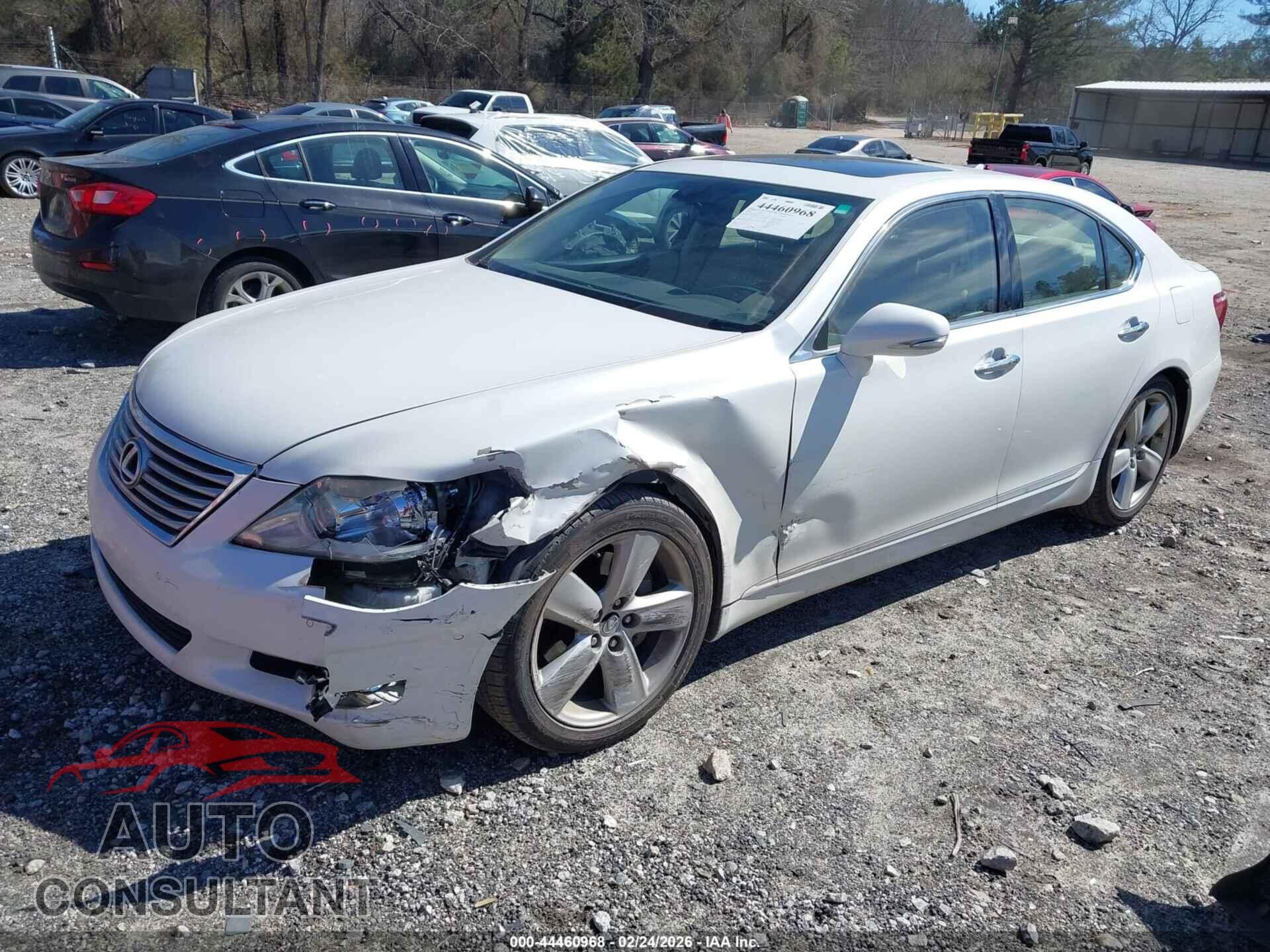 LEXUS LS 460 2012 - JTHBL5EF6C5113306