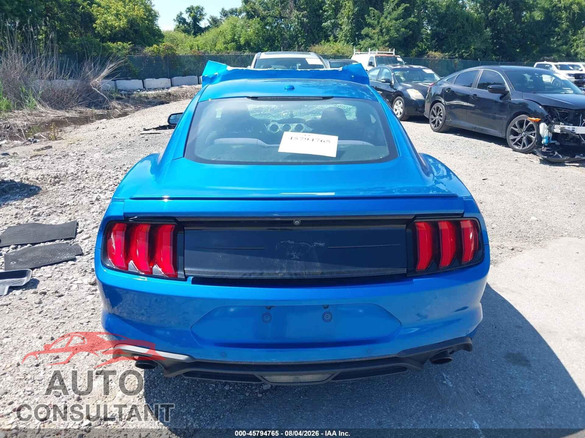 FORD MUSTANG 2019 - 1FA6P8TH2K5201917