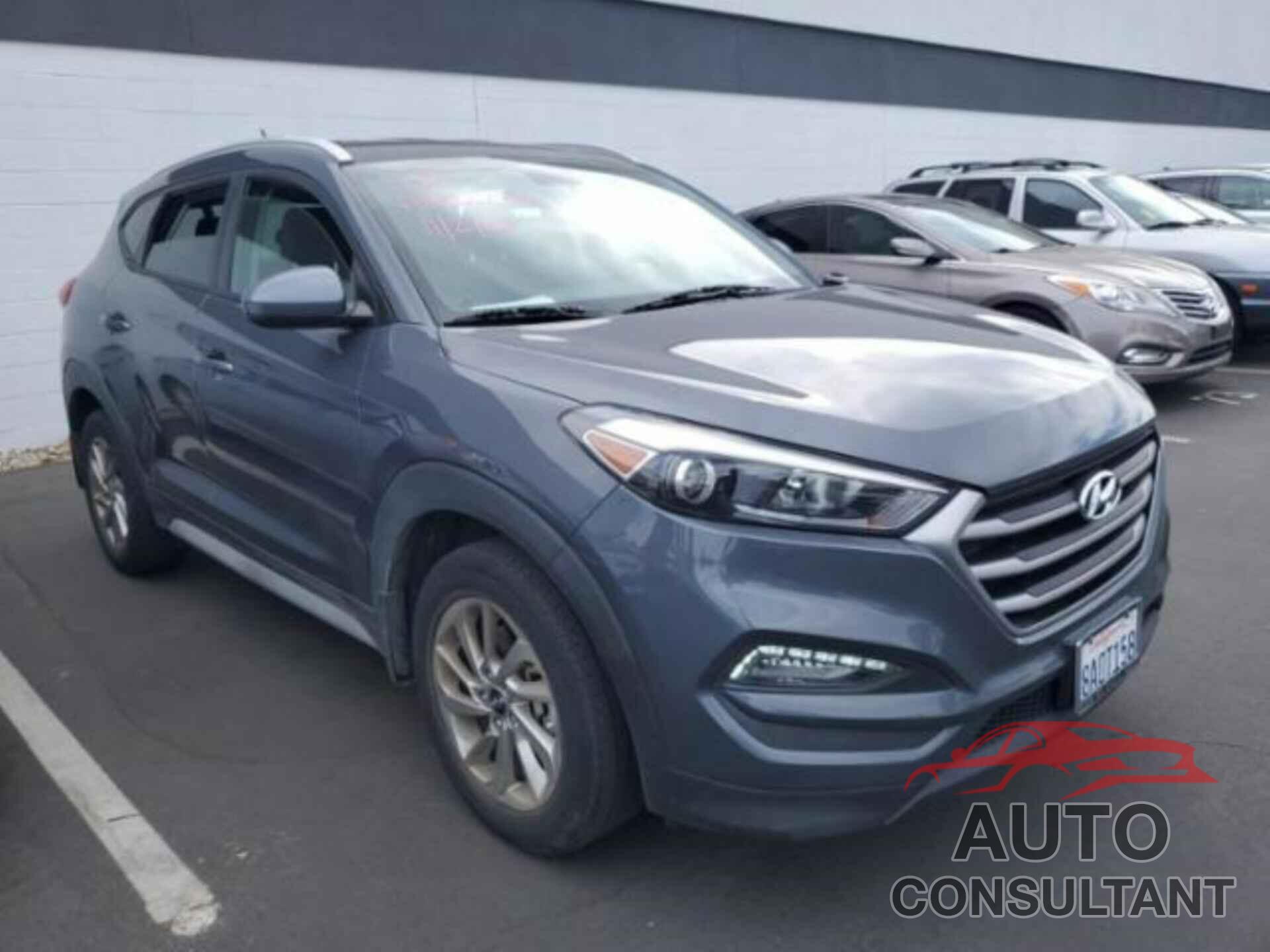 HYUNDAI TUCSON 2017 - KM8J33A47HU527953