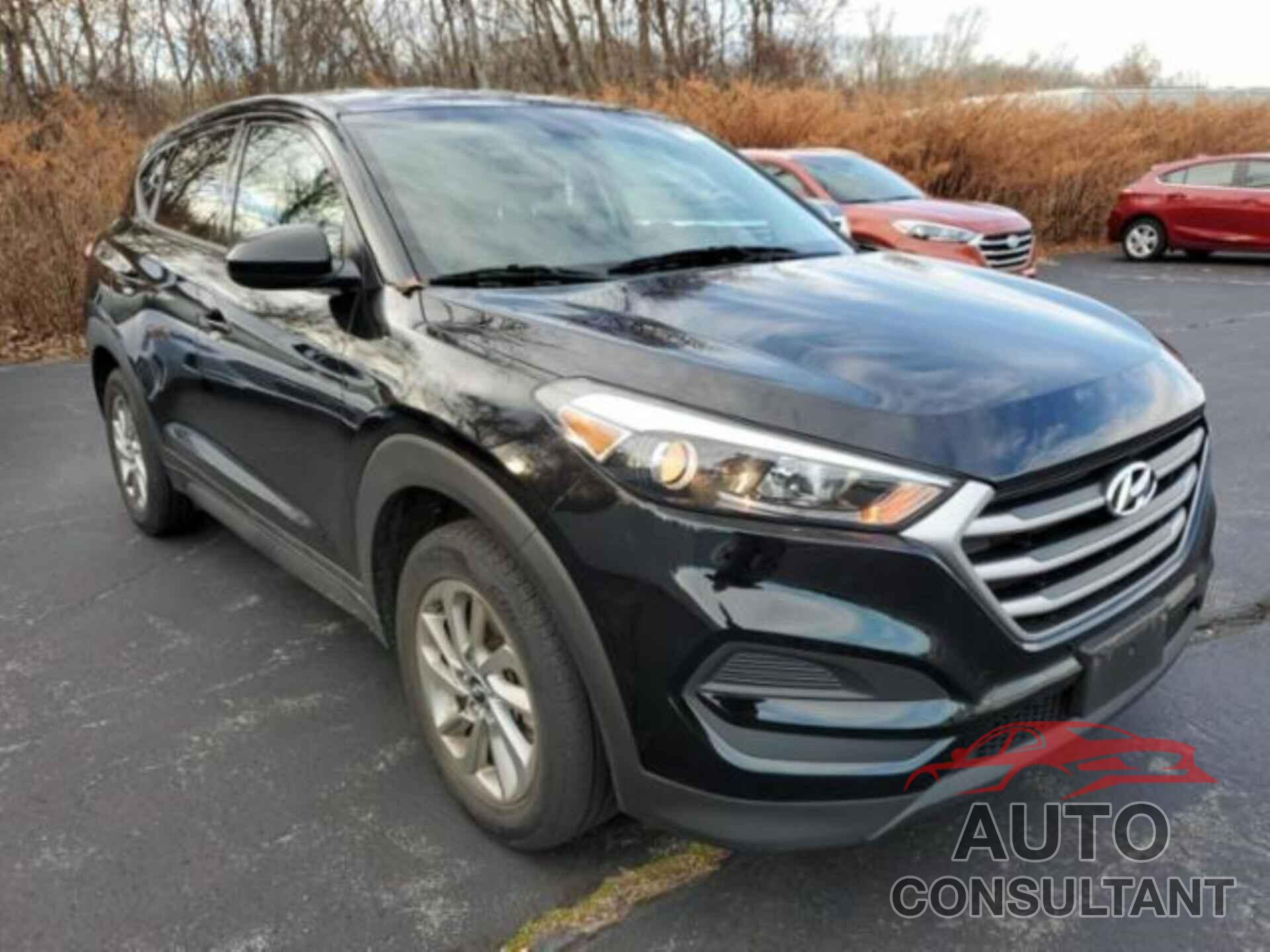 HYUNDAI TUCSON 2017 - KM8J23A43HU545434