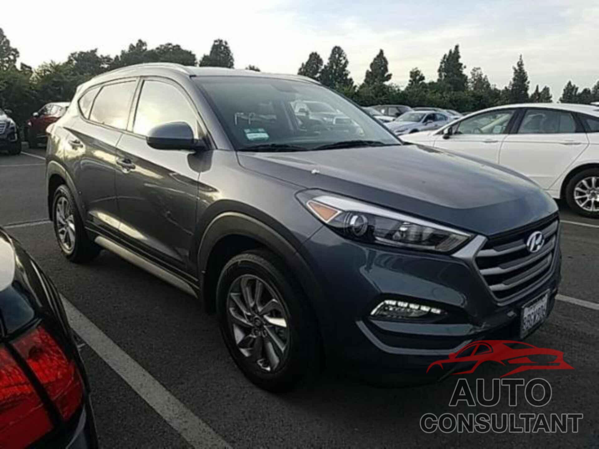 HYUNDAI TUCSON 2017 - KM8J33A41HU565324