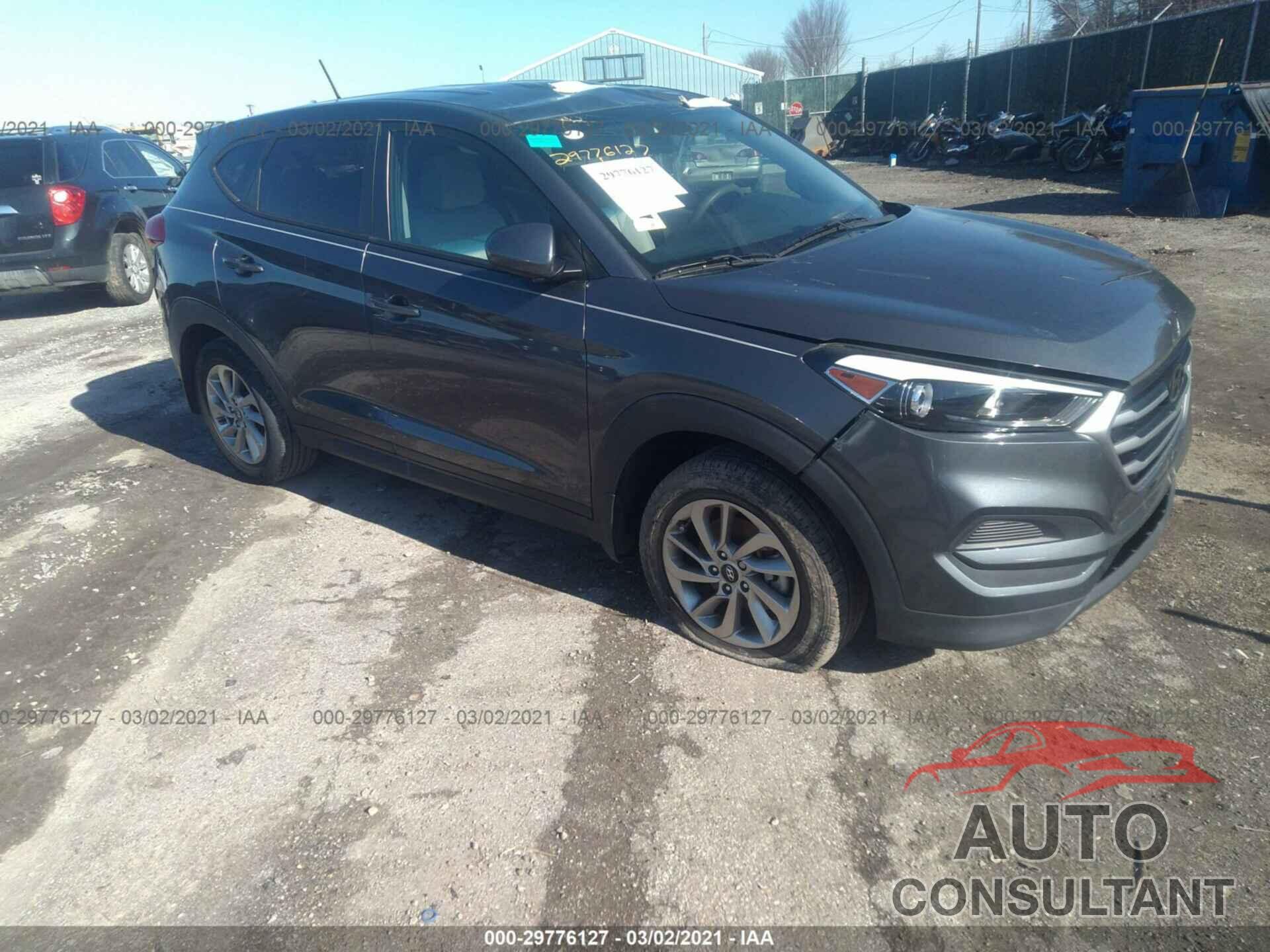 HYUNDAI TUCSON 2017 - KM8J23A49HU509506