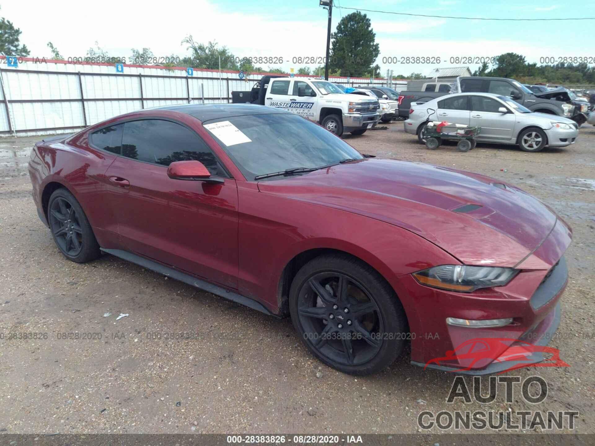 FORD MUSTANG 2019 - 1FA6P8TH5K5184739