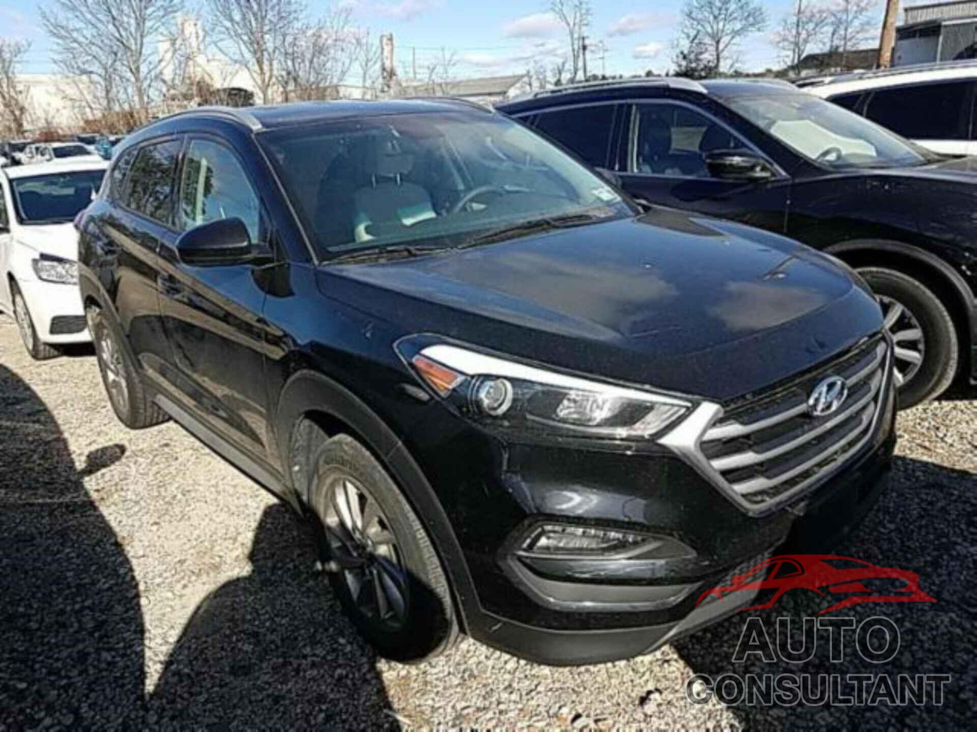 HYUNDAI TUCSON 2017 - KM8J3CA42HU524863