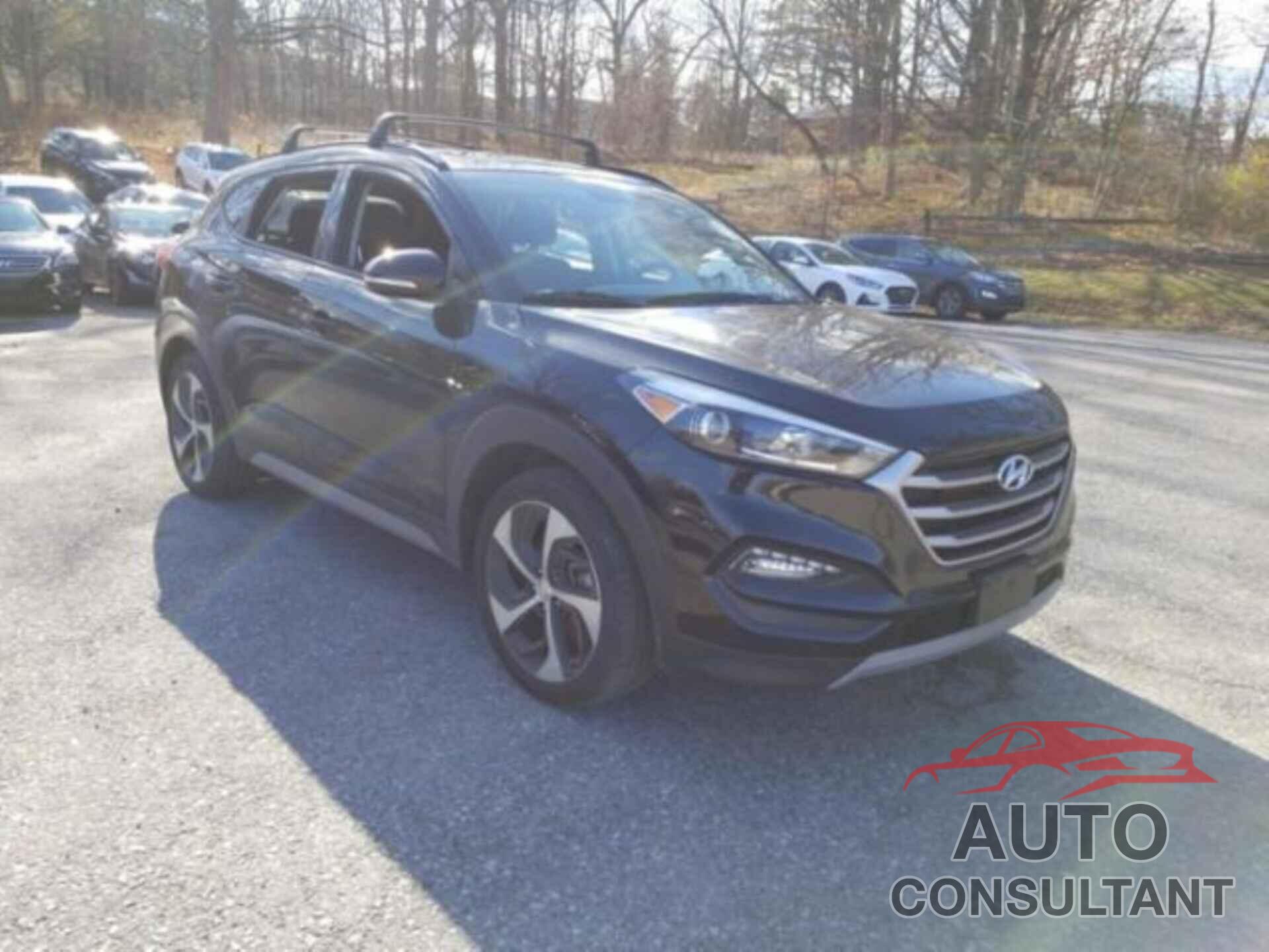 HYUNDAI TUCSON 2017 - KM8J3CA24HU567969