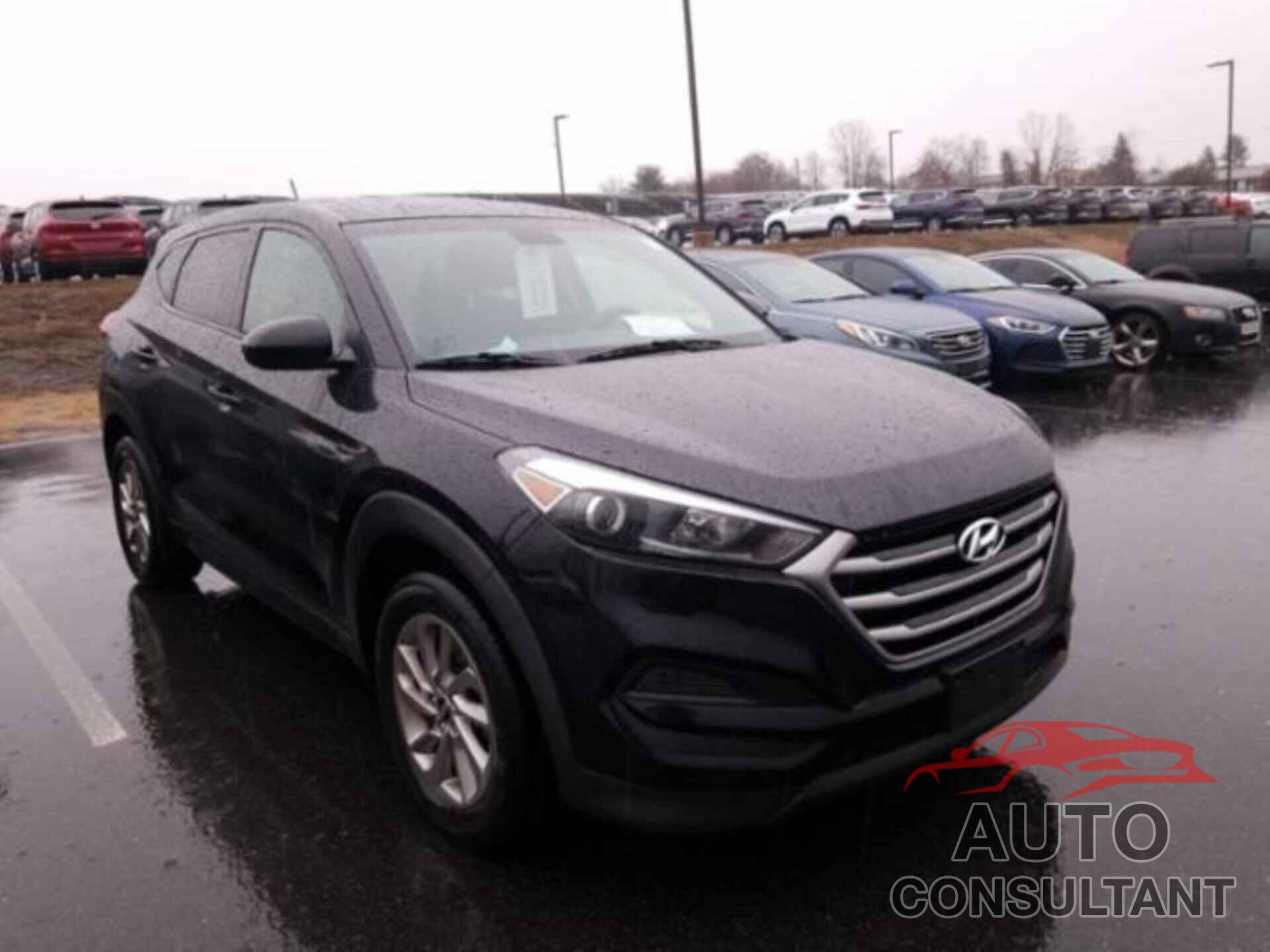 HYUNDAI TUCSON 2017 - KM8J23A42HU545506