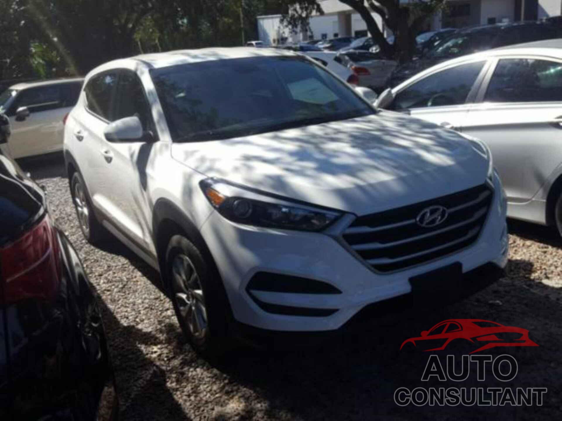 HYUNDAI TUCSON 2017 - KM8J23A4XHU570783