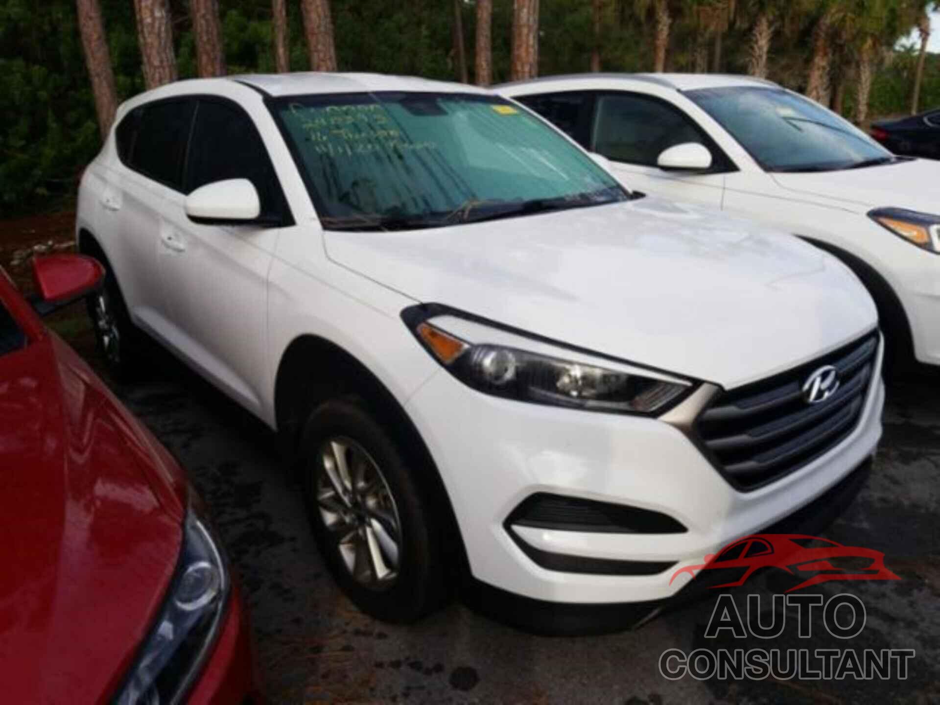 HYUNDAI TUCSON 2016 - KM8J23A48GU240395