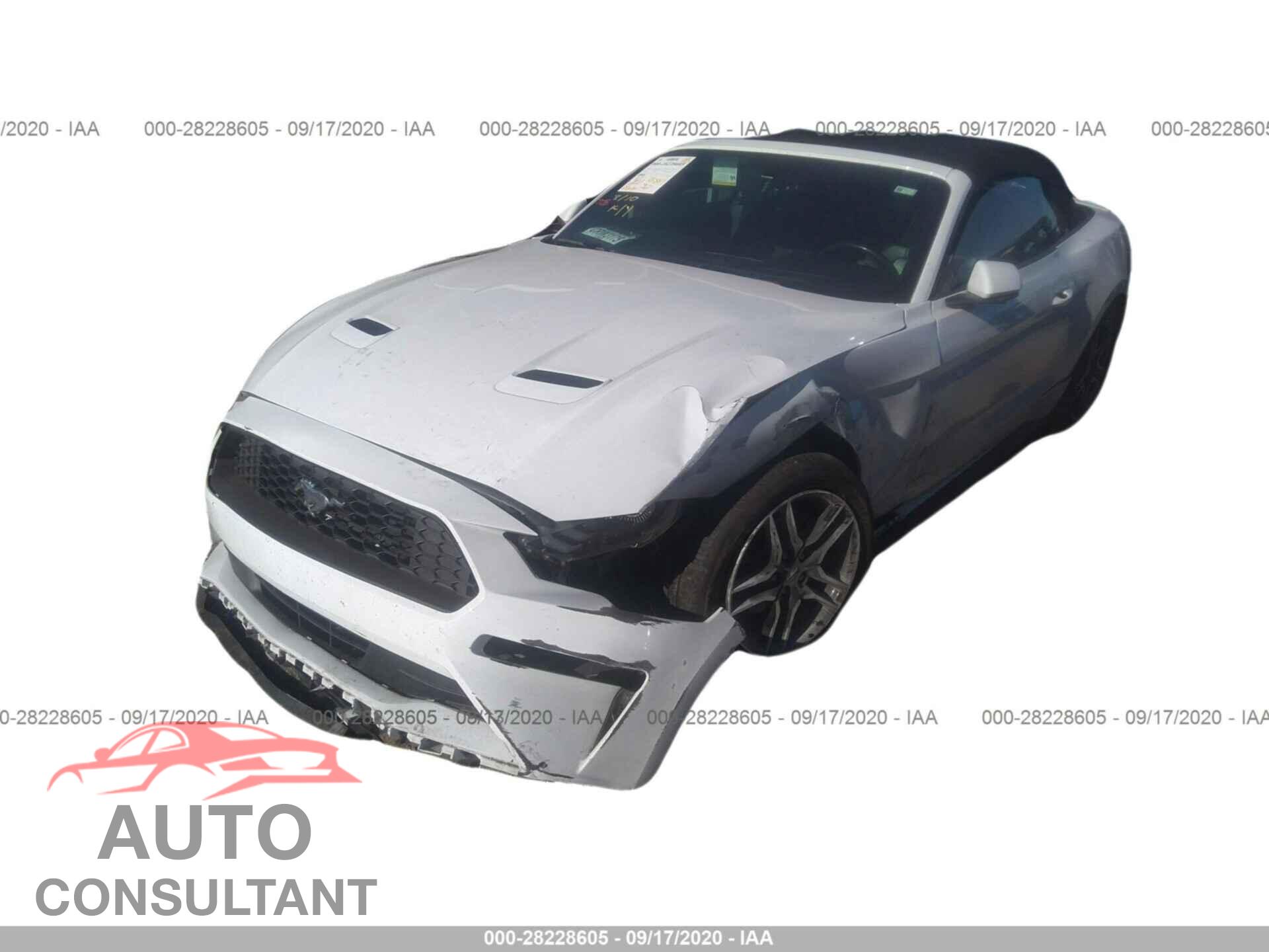 FORD MUSTANG 2019 - 1FATP8UH9K5138820