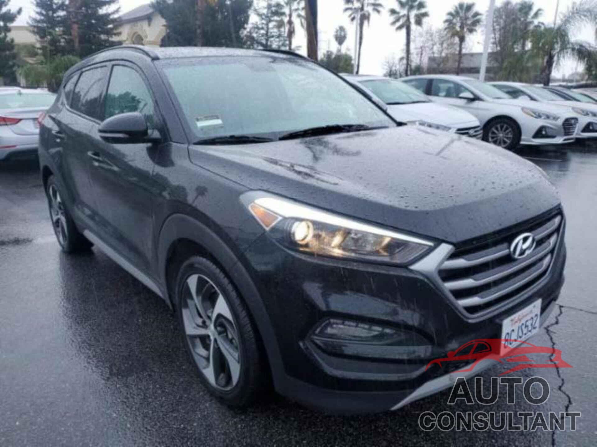 HYUNDAI TUCSON 2017 - KM8J33A21HU579724