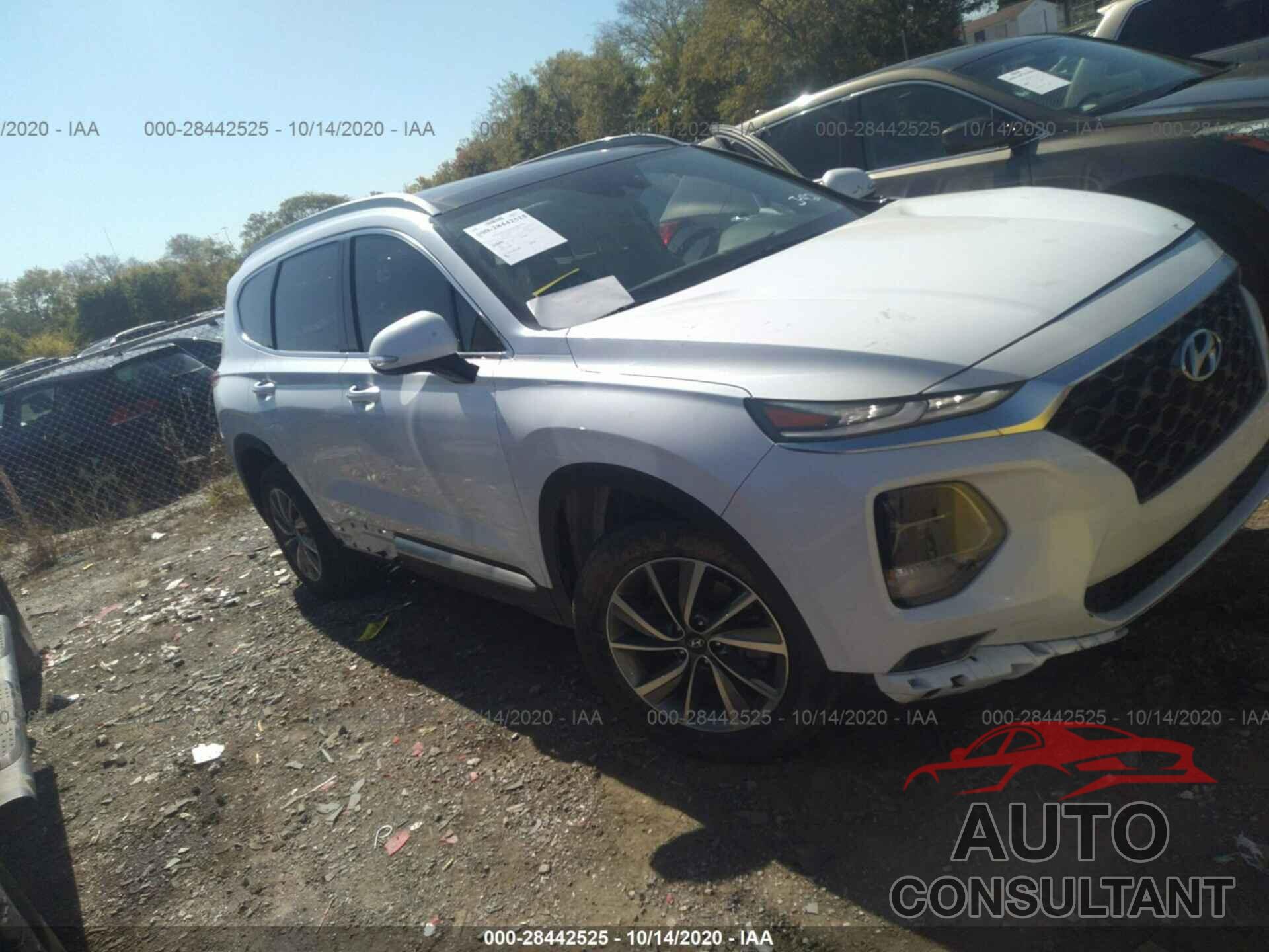 HYUNDAI SANTA FE 2019 - 5NMS5CAD1KH008267