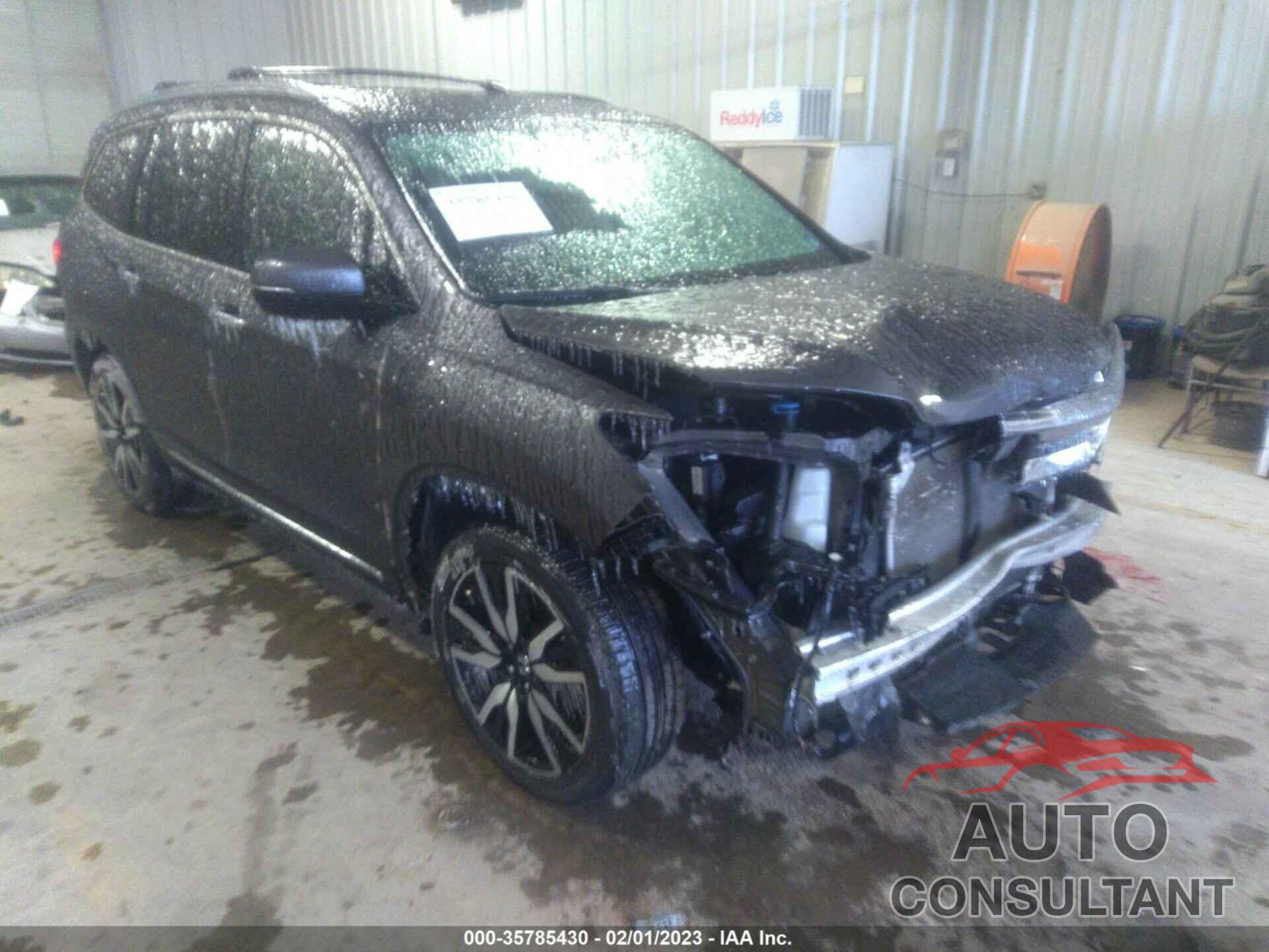 HONDA PILOT 2019 - 5FNYF5H99KB006434