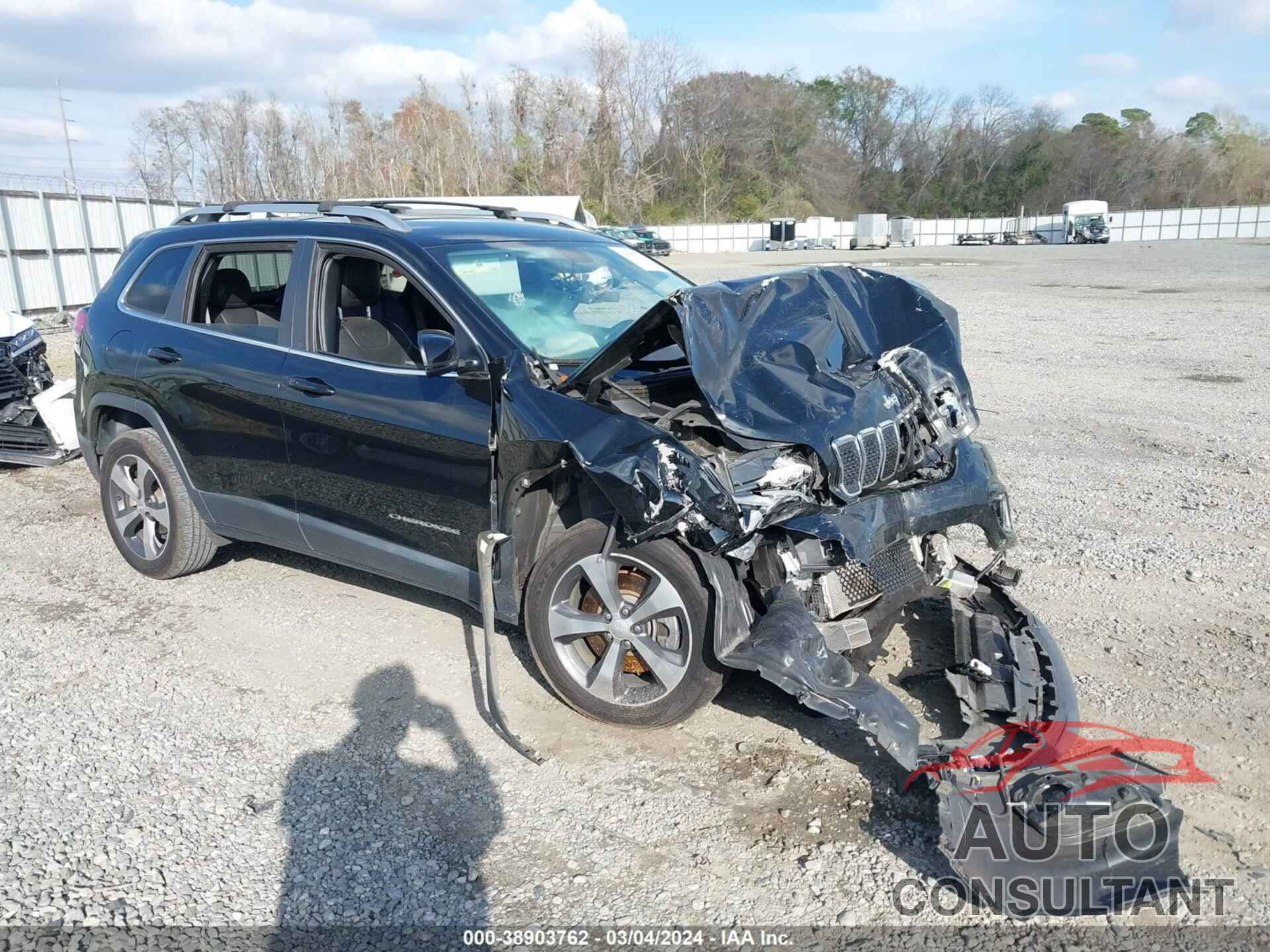 JEEP CHEROKEE 2019 - 1C4PJLDB6KD302493