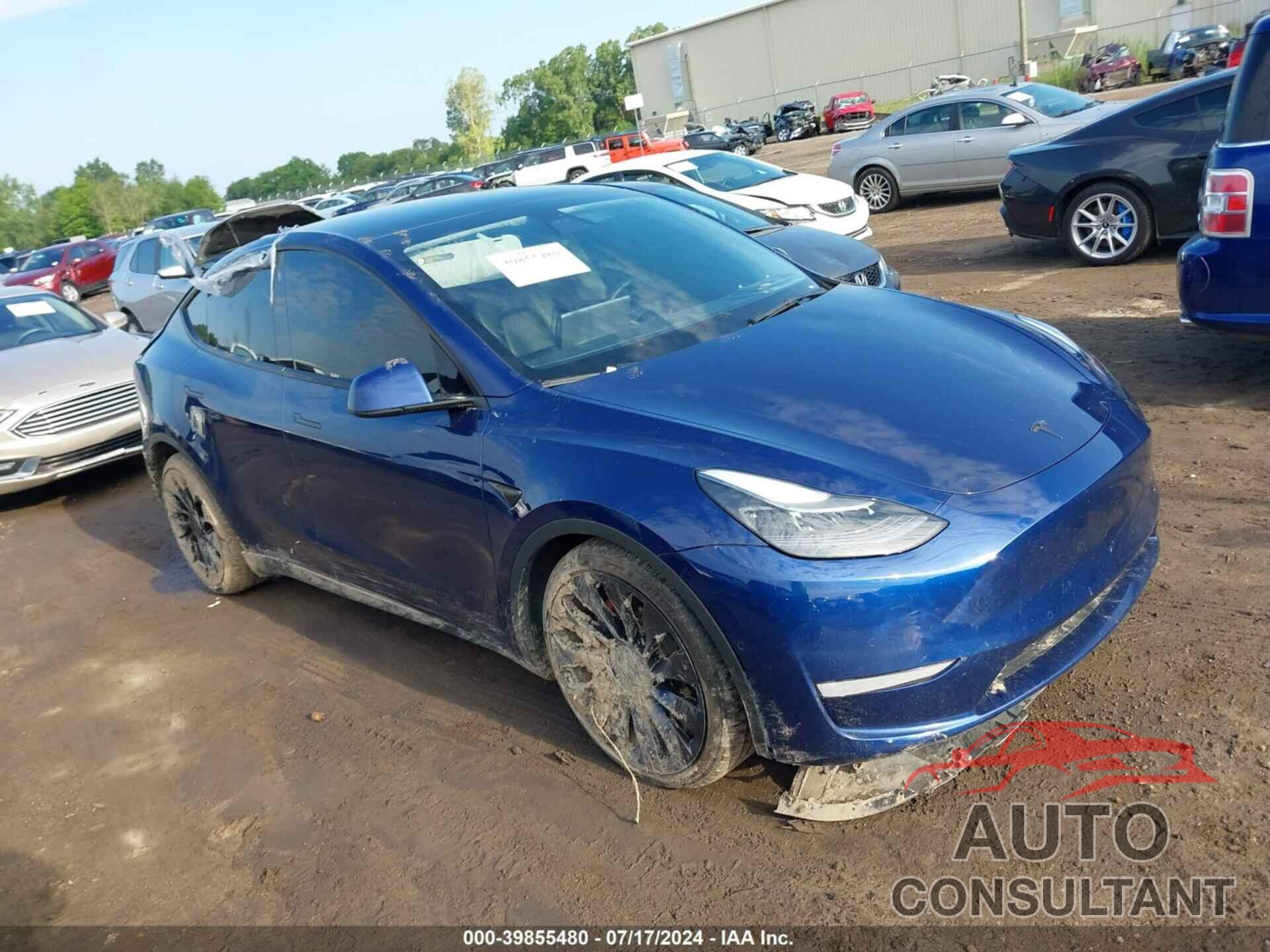 TESLA MODEL Y 2022 - 7SAYGDEF4NF439913