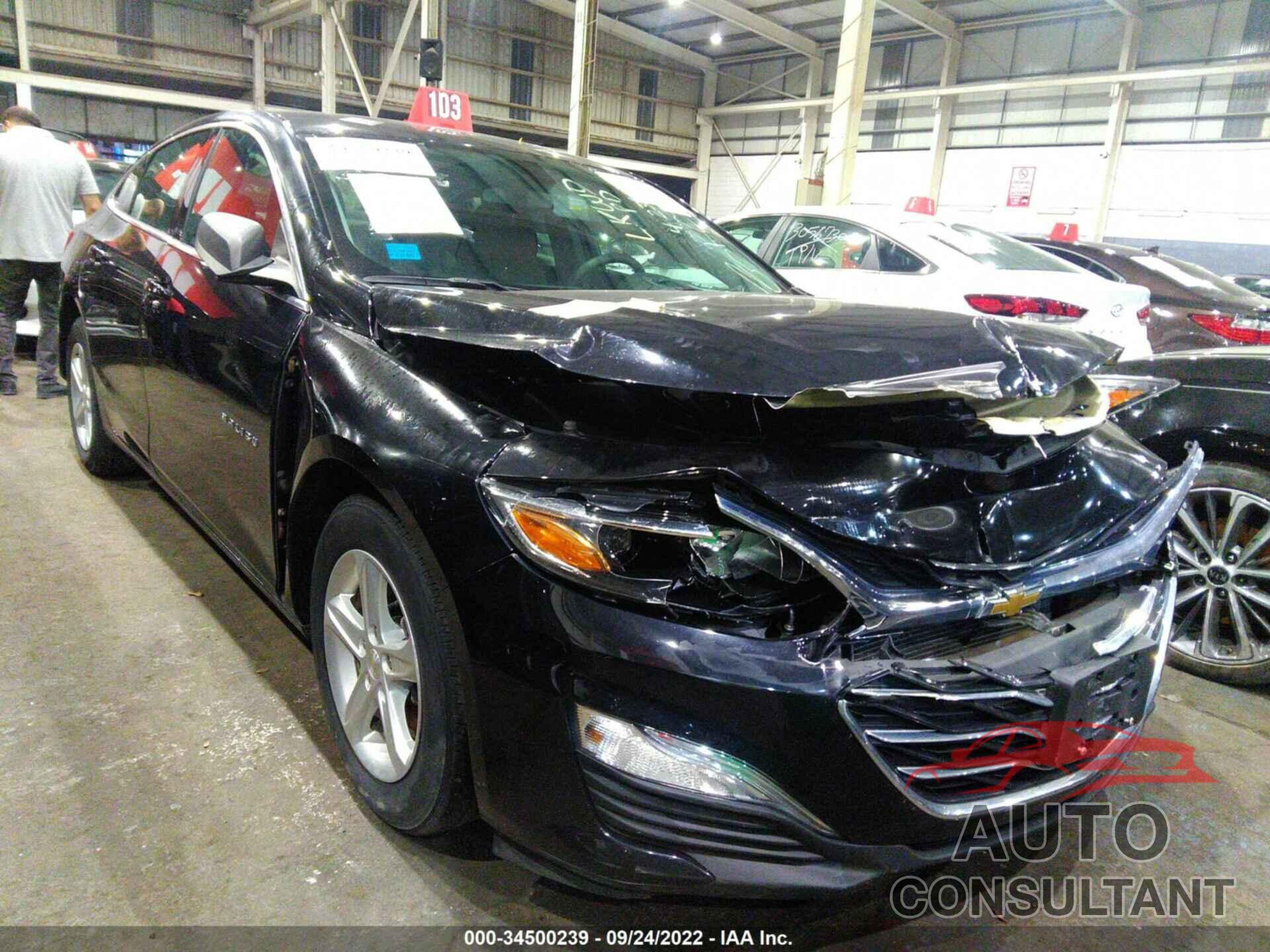 CHEVROLET MALIBU 2019 - 001ZB5ST5KF145470