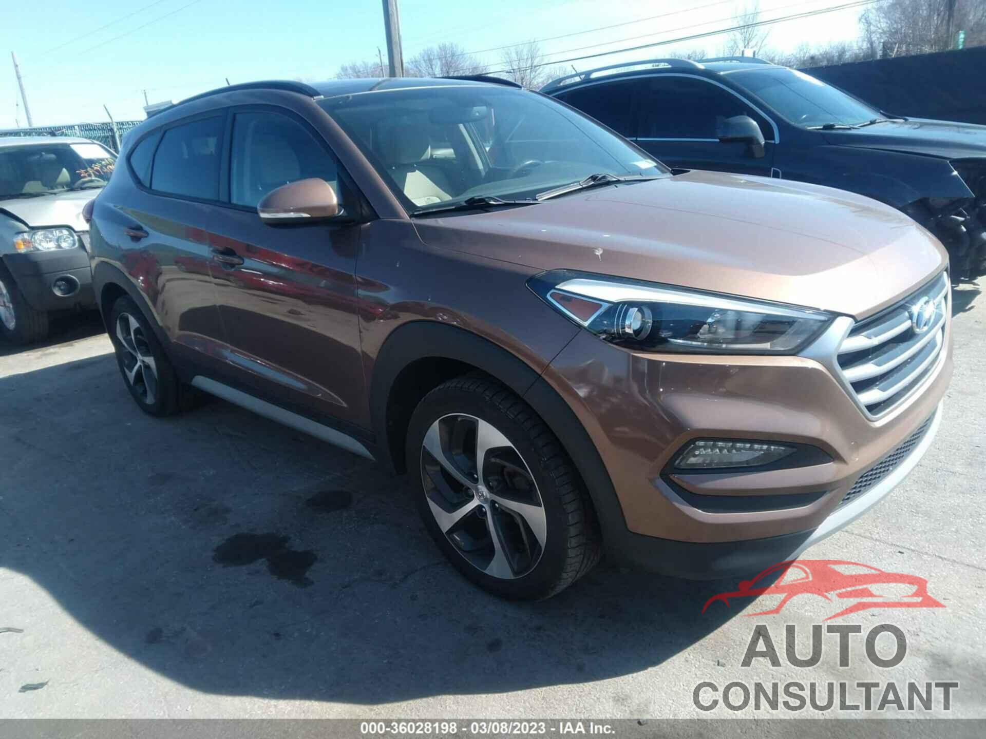 HYUNDAI TUCSON 2017 - KM8J3CA24HU554493