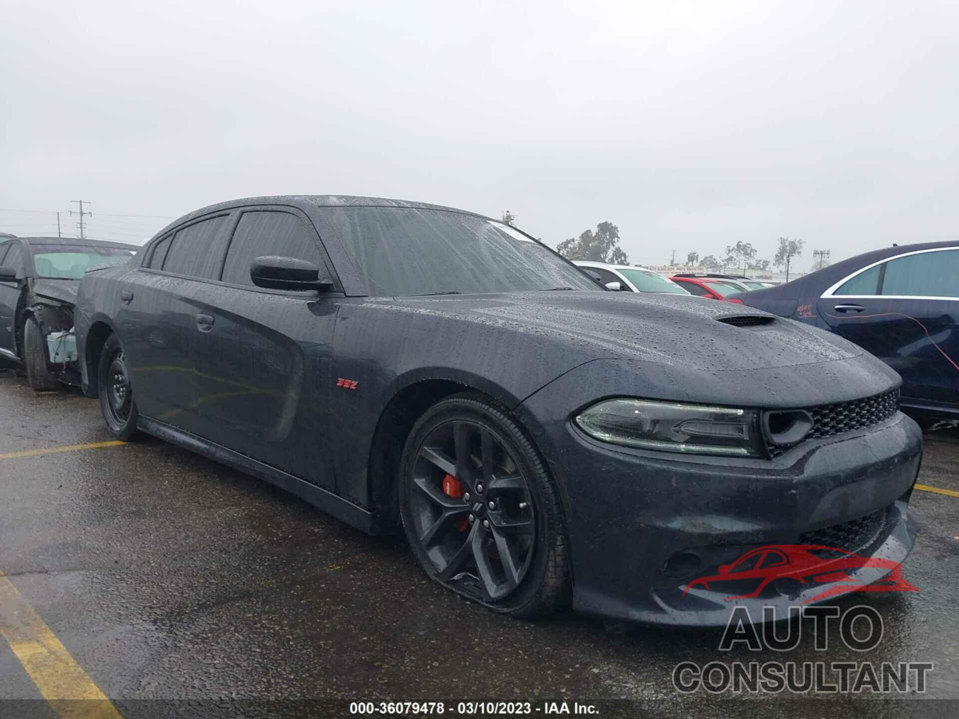 DODGE CHARGER 2019 - 2C3CDXCT3KH527744