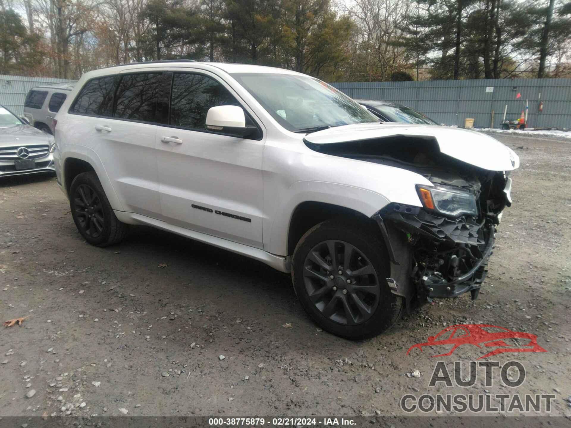 JEEP GRAND CHEROKEE 2019 - 1C4RJFCG3KC788080