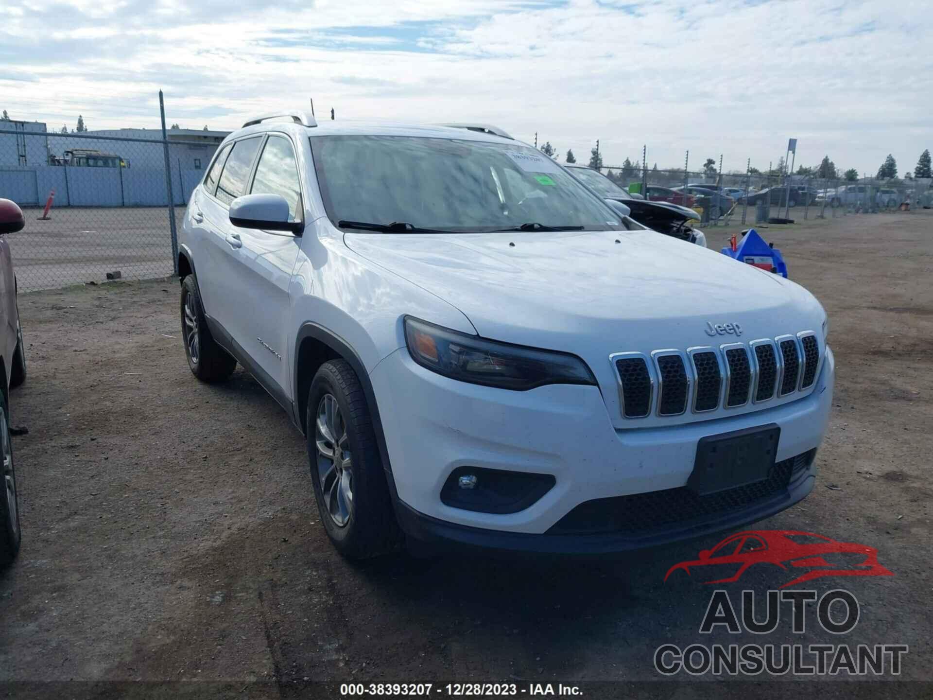 JEEP CHEROKEE 2019 - 1C4PJLLB9KD201949