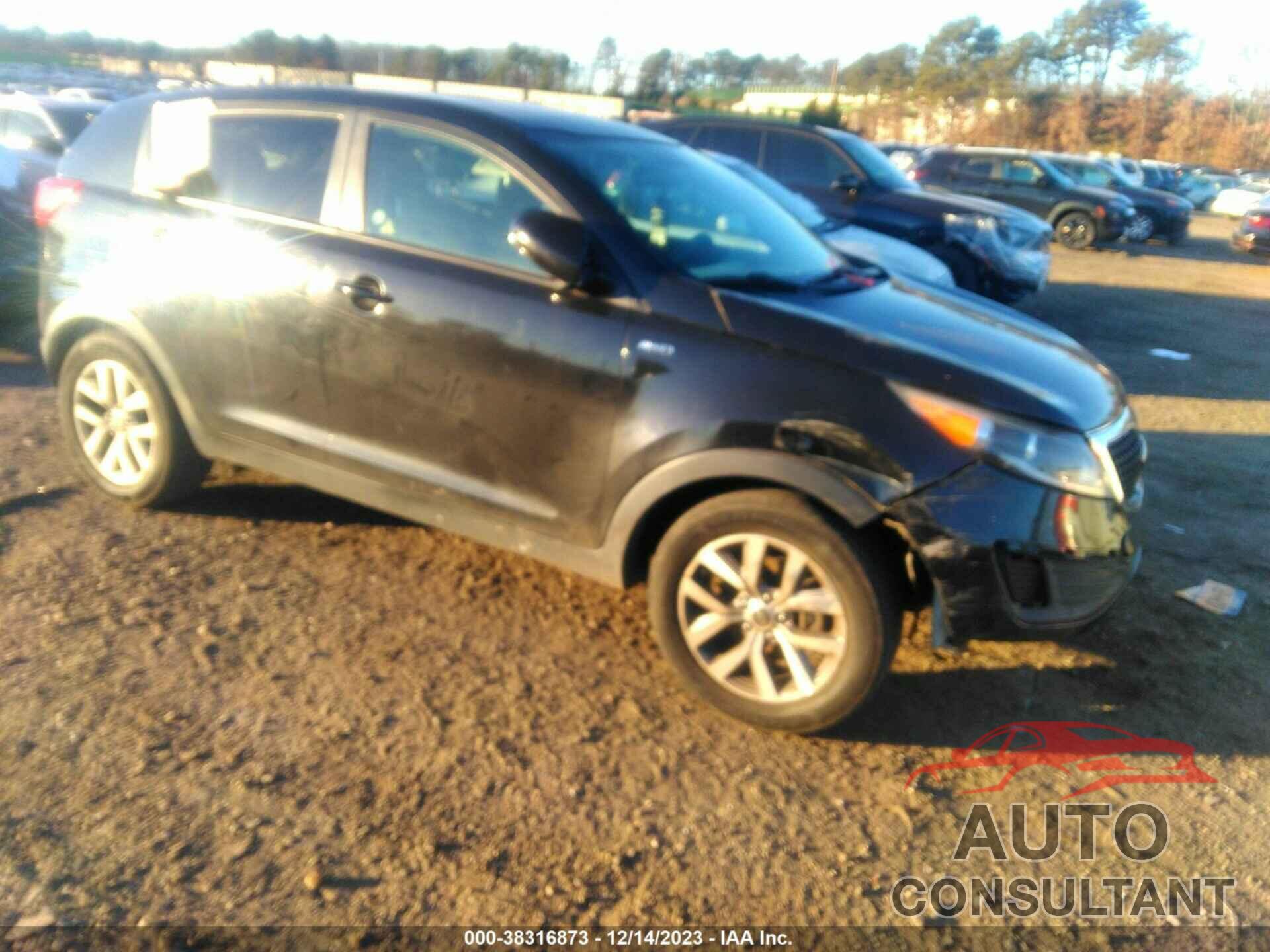 KIA SPORTAGE 2016 - KNDPBCAC0G7809003
