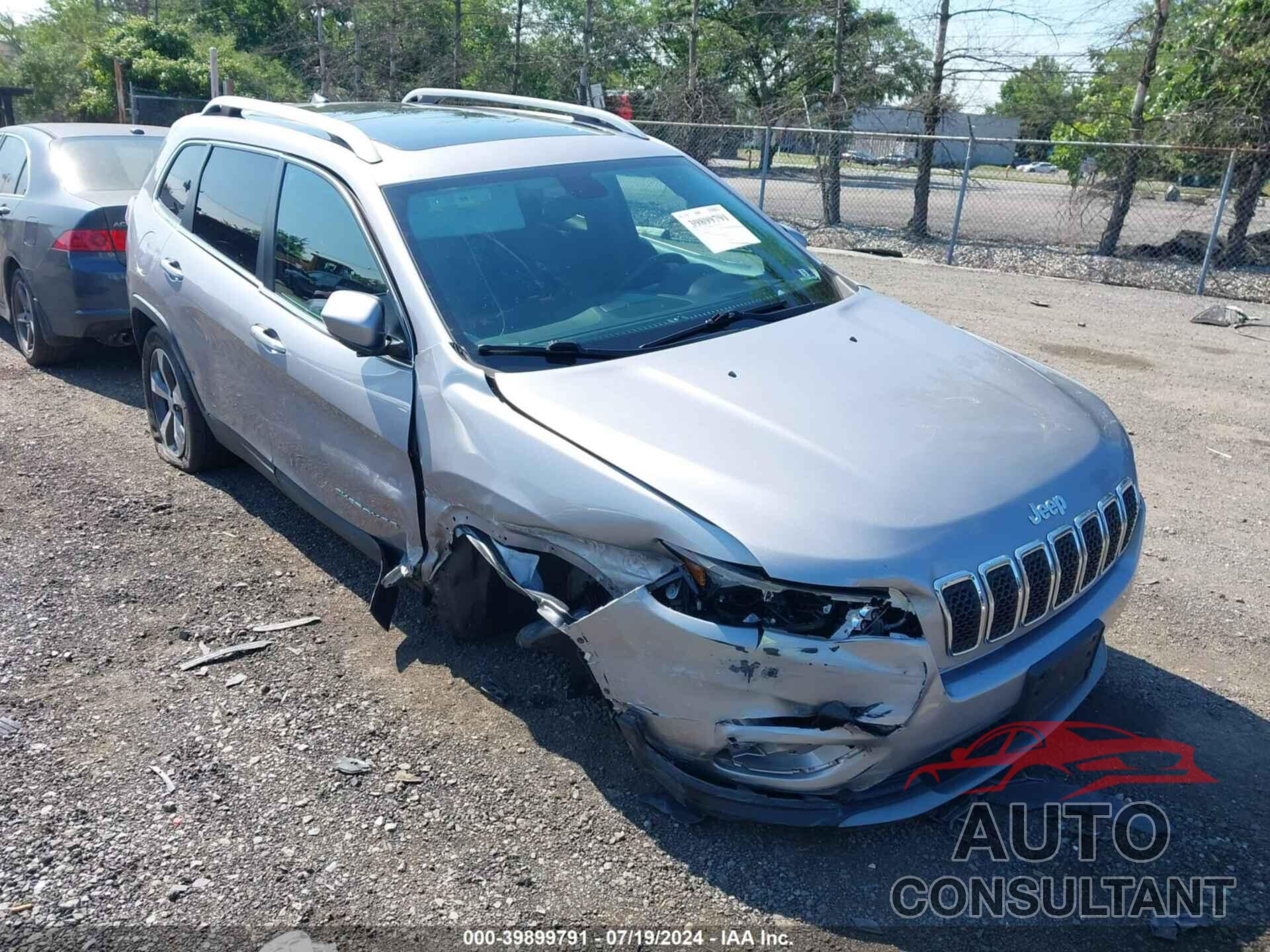 JEEP CHEROKEE 2019 - 1C4PJMDN0KD163199