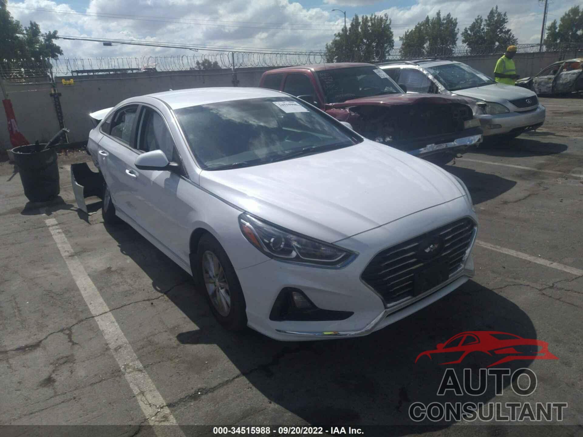 HYUNDAI SONATA 2019 - 5NPE24AF6KH735923