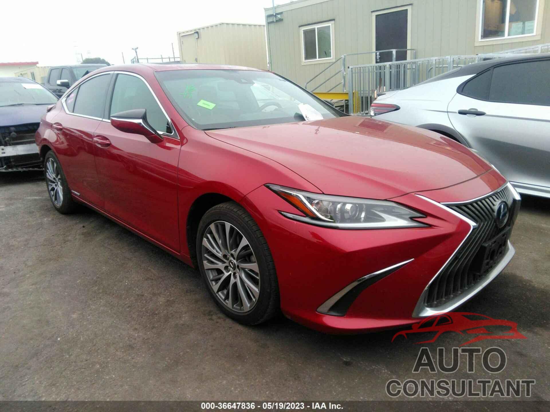 LEXUS ES 2021 - 58ADA1C18MU001439