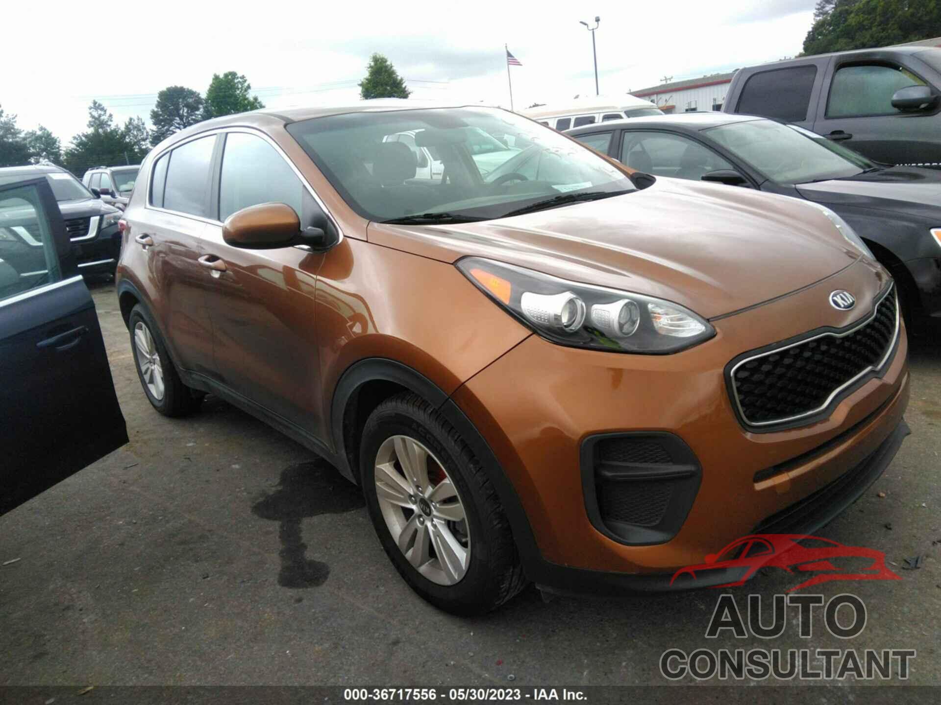 KIA SPORTAGE 2019 - KNDPM3AC6K7592396