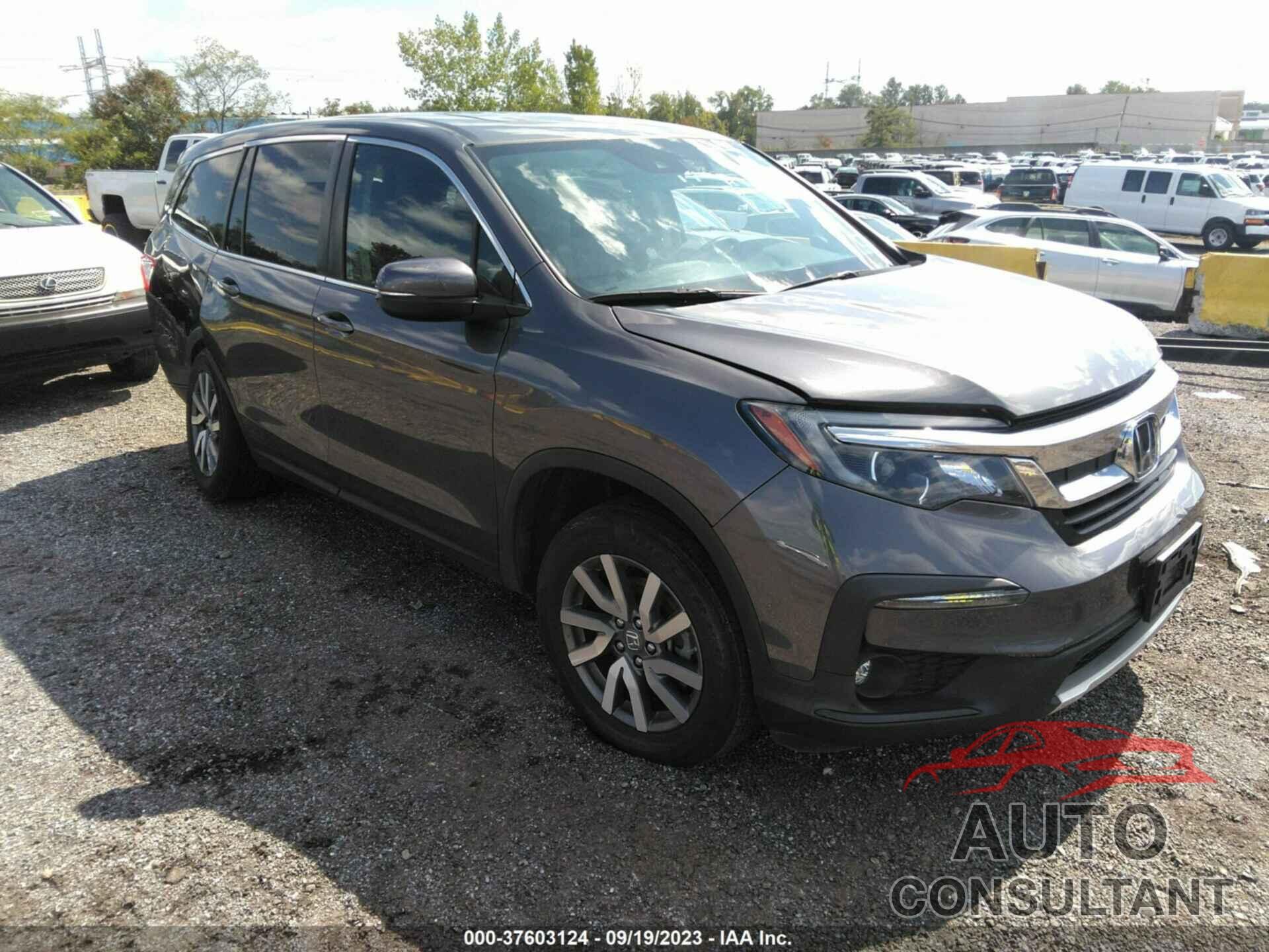 HONDA PILOT 2021 - 5FNYF6H51MB021189
