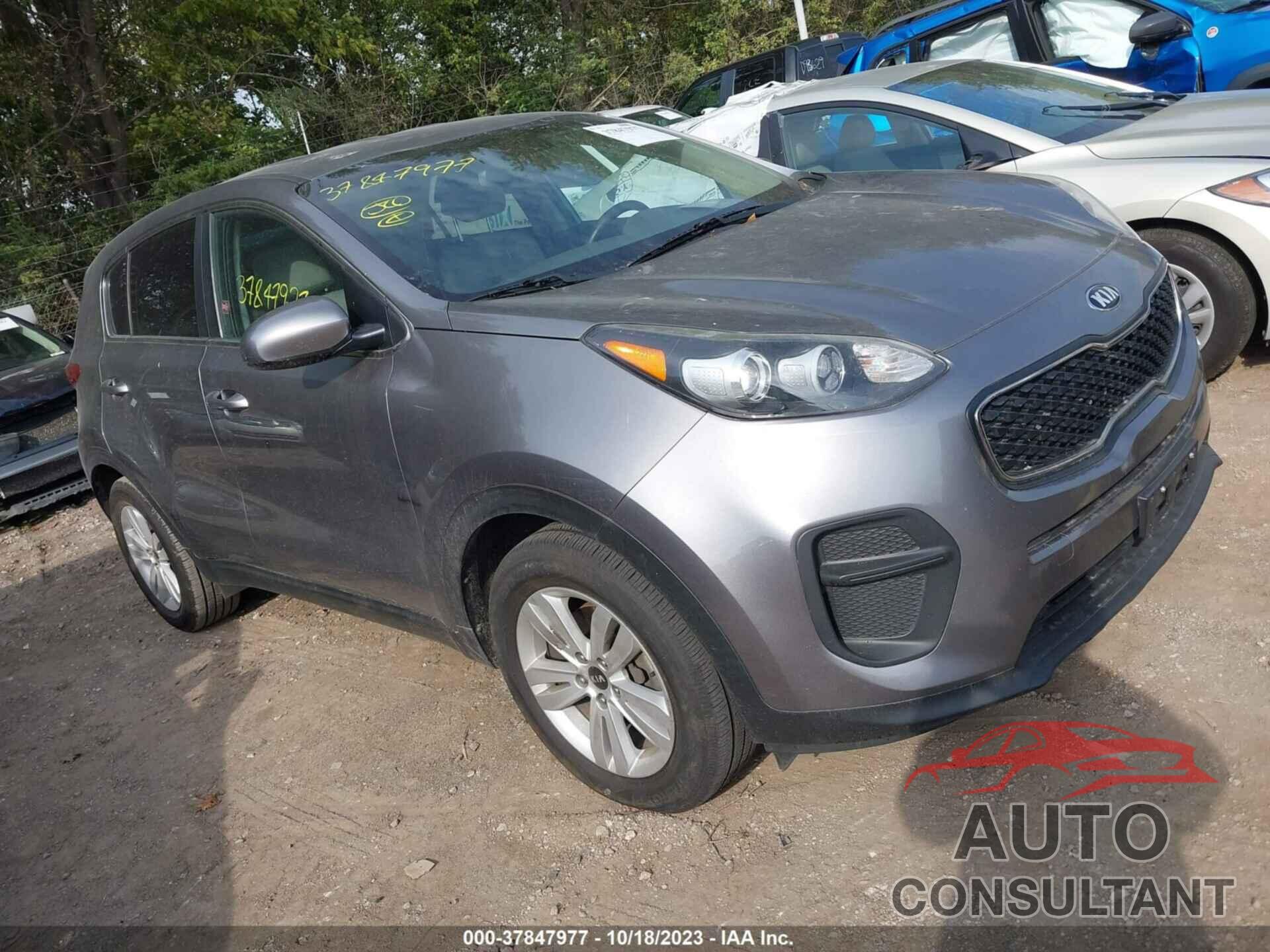 KIA SPORTAGE 2017 - KNDPM3AC1H7158945