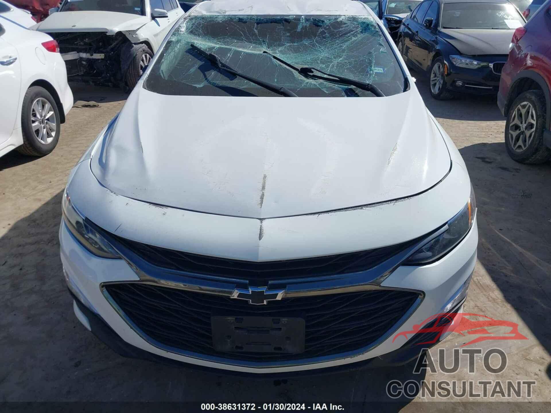 CHEVROLET MALIBU 2019 - 1G1ZG5ST6KF172484