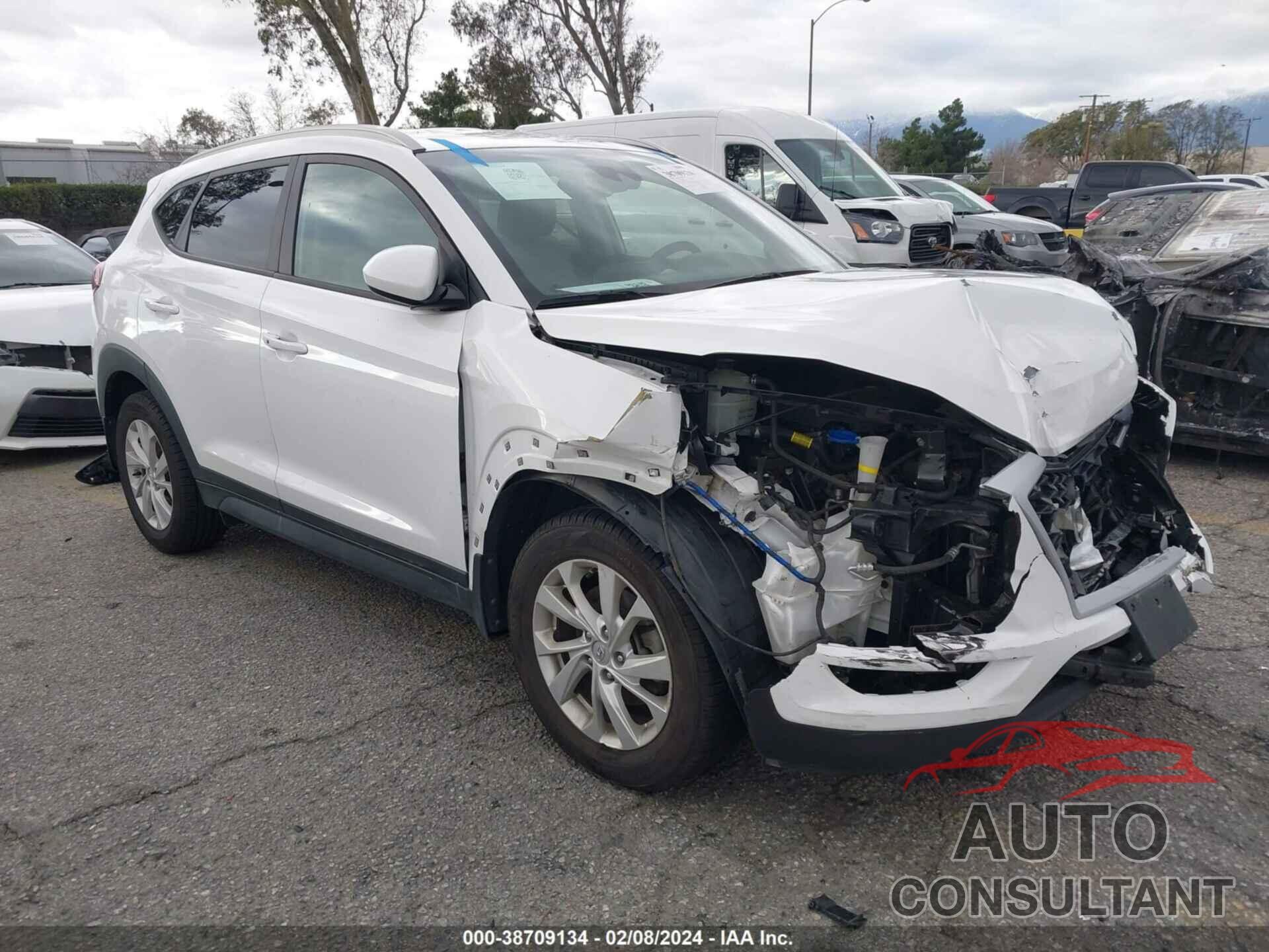 HYUNDAI TUCSON 2019 - KM8J33A44KU851045