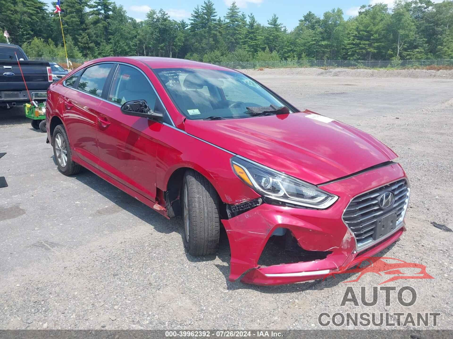 HYUNDAI SONATA 2019 - 5NPE24AF4KH794923