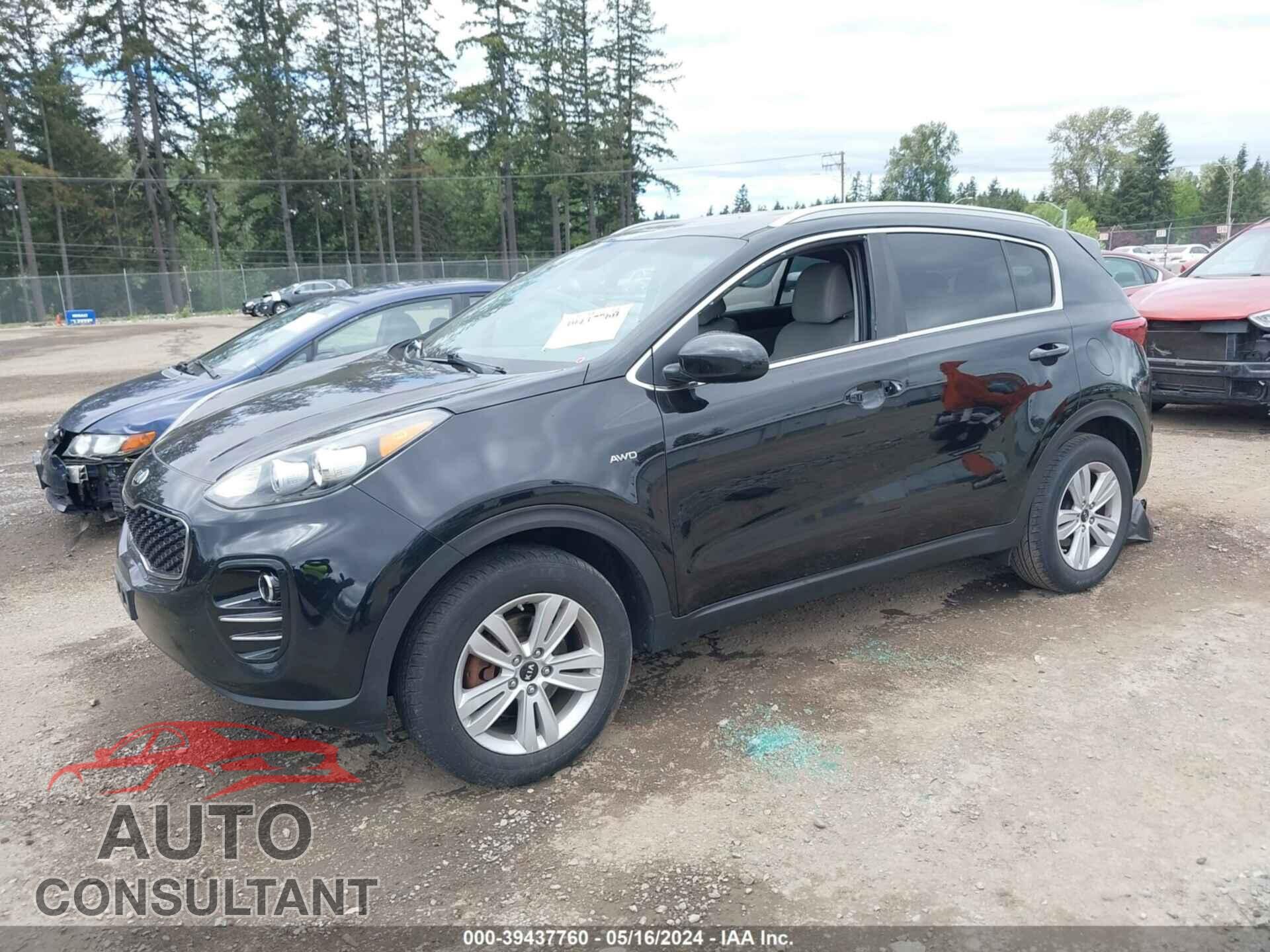 KIA SPORTAGE 2017 - KNDPMCAC2H7099176