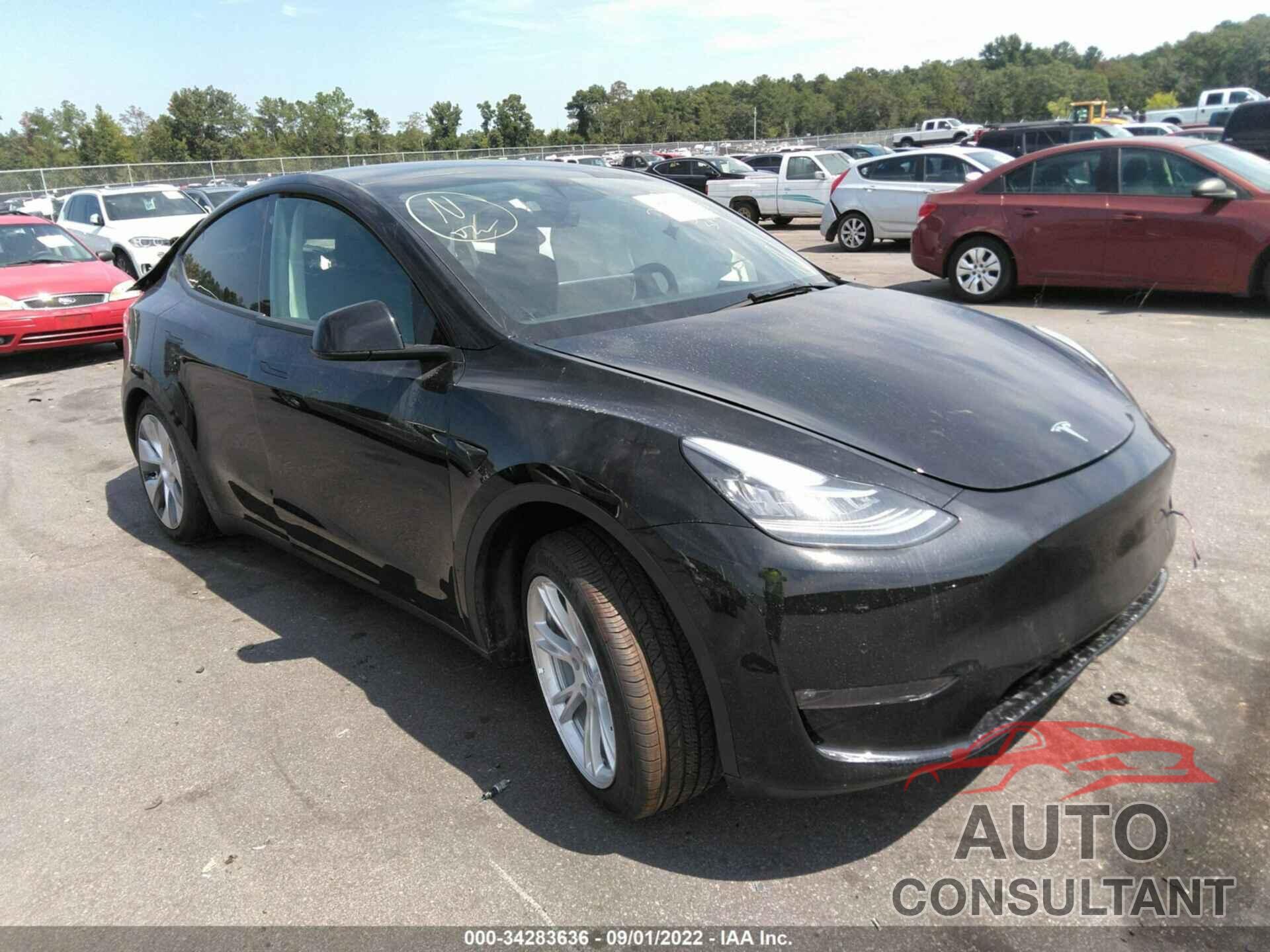 TESLA MODEL Y 2022 - 7SAYGAEE4NF428822