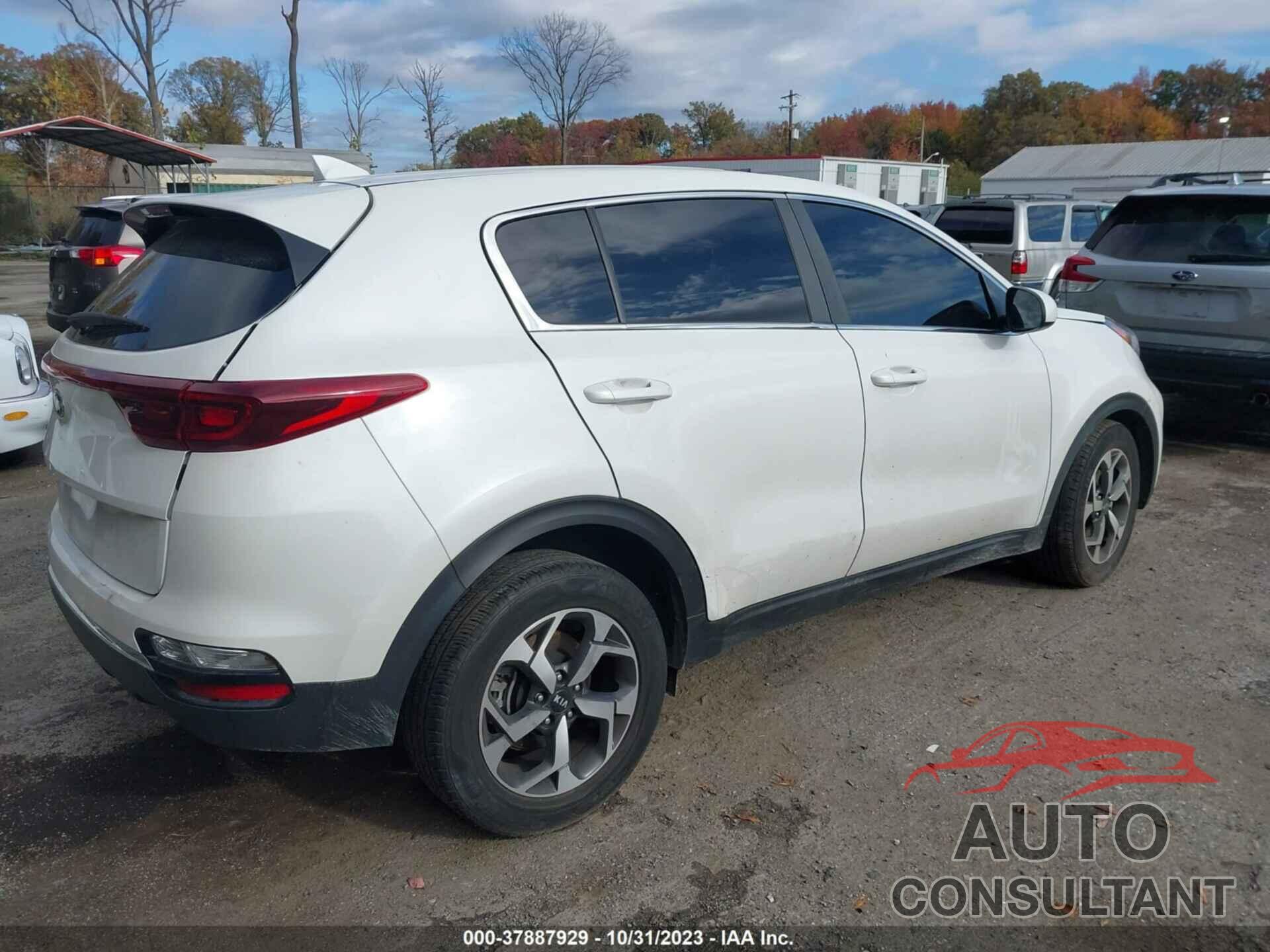 KIA SPORTAGE 2022 - KNDPM3AC6N7951654