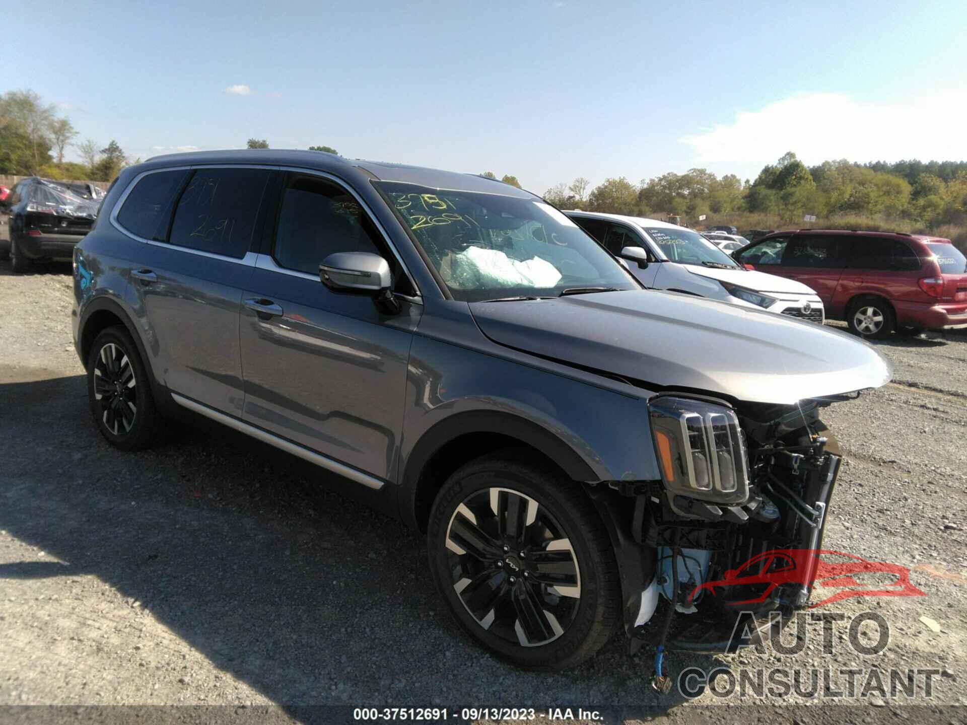 KIA TELLURIDE 2024 - 5XYP5DGC9RG428261