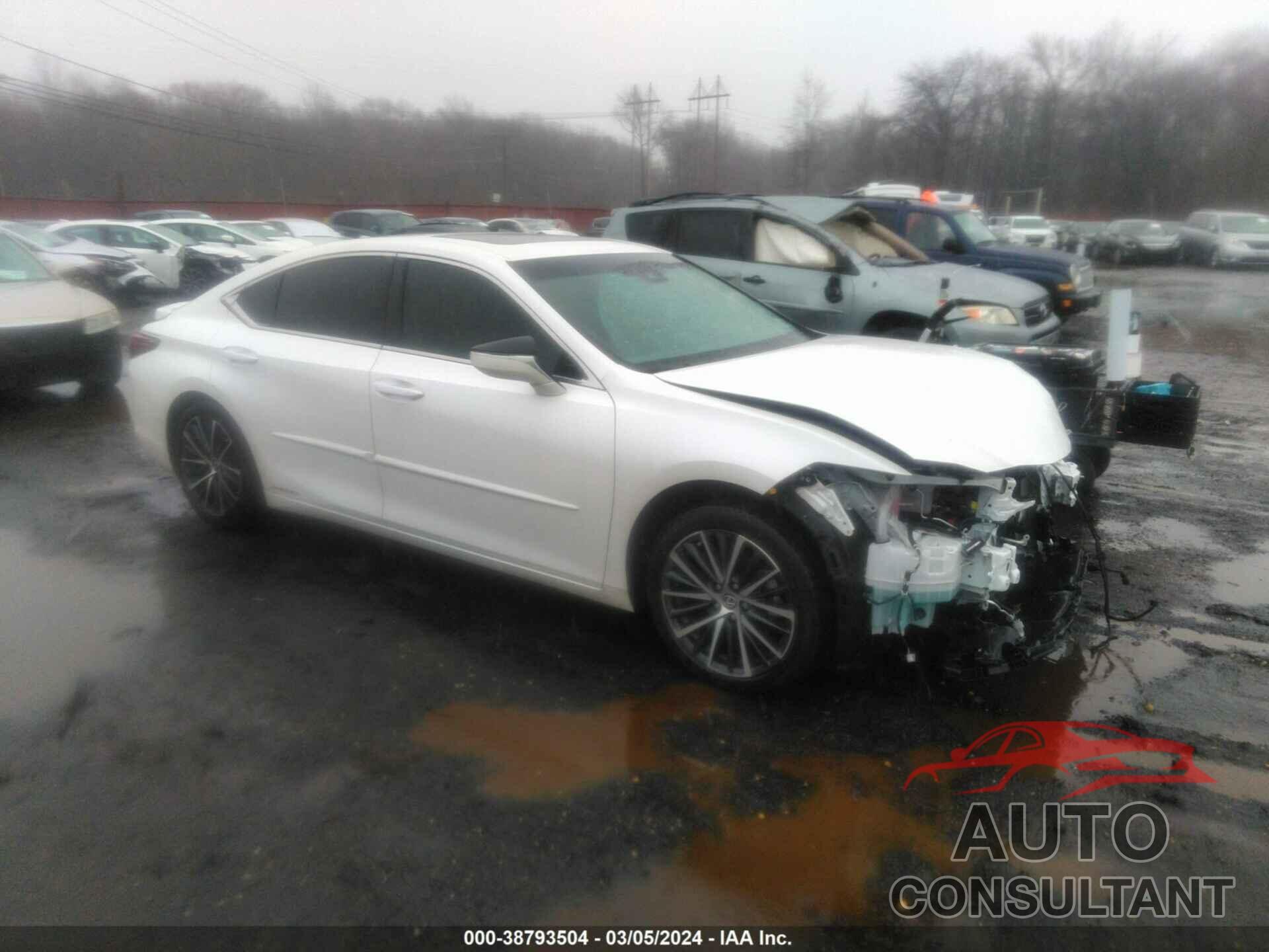 LEXUS ES 300H 2022 - 58ADA1C14NU016103