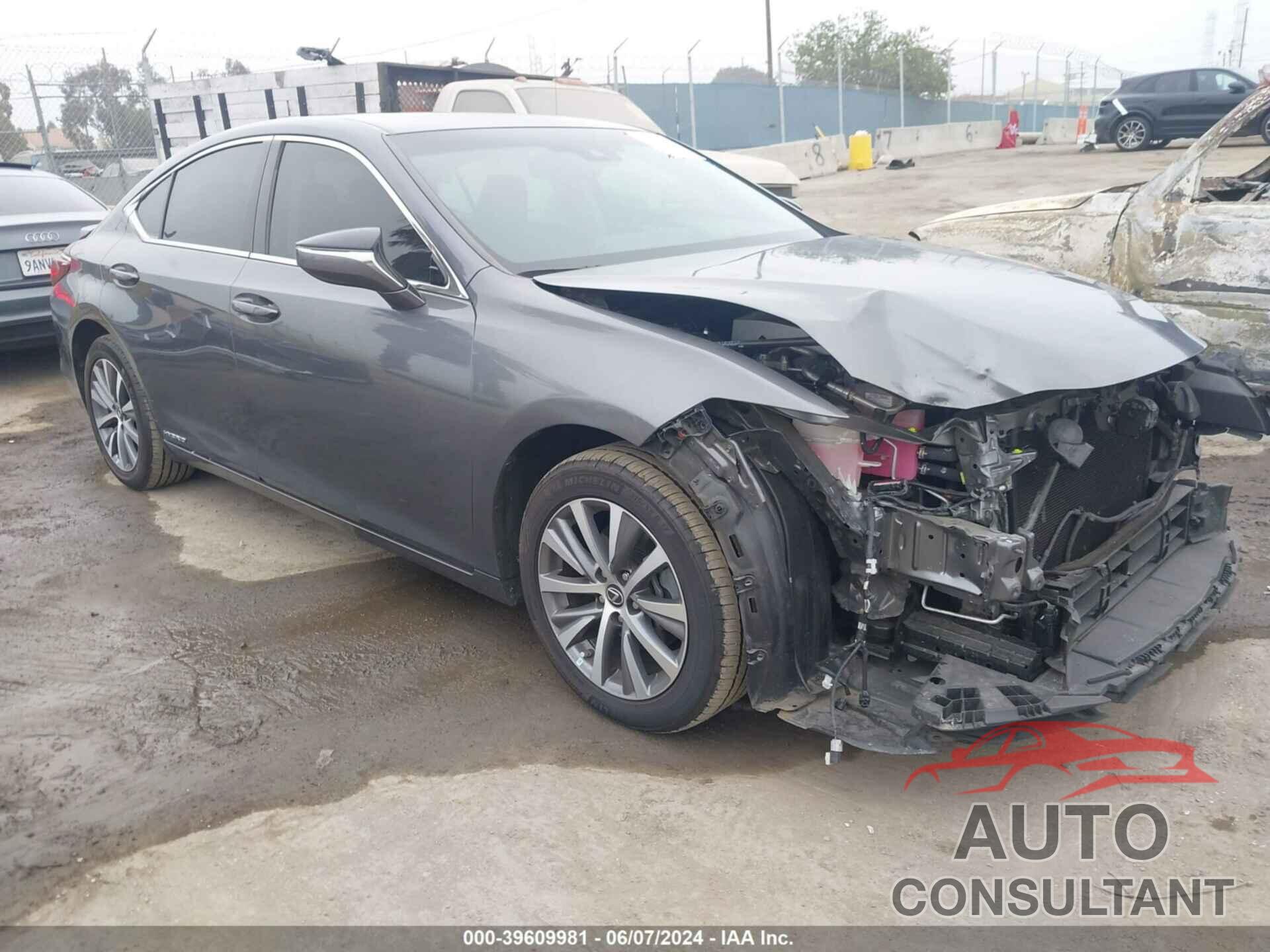 LEXUS ES 300H 2020 - 58AC21B14LU009157