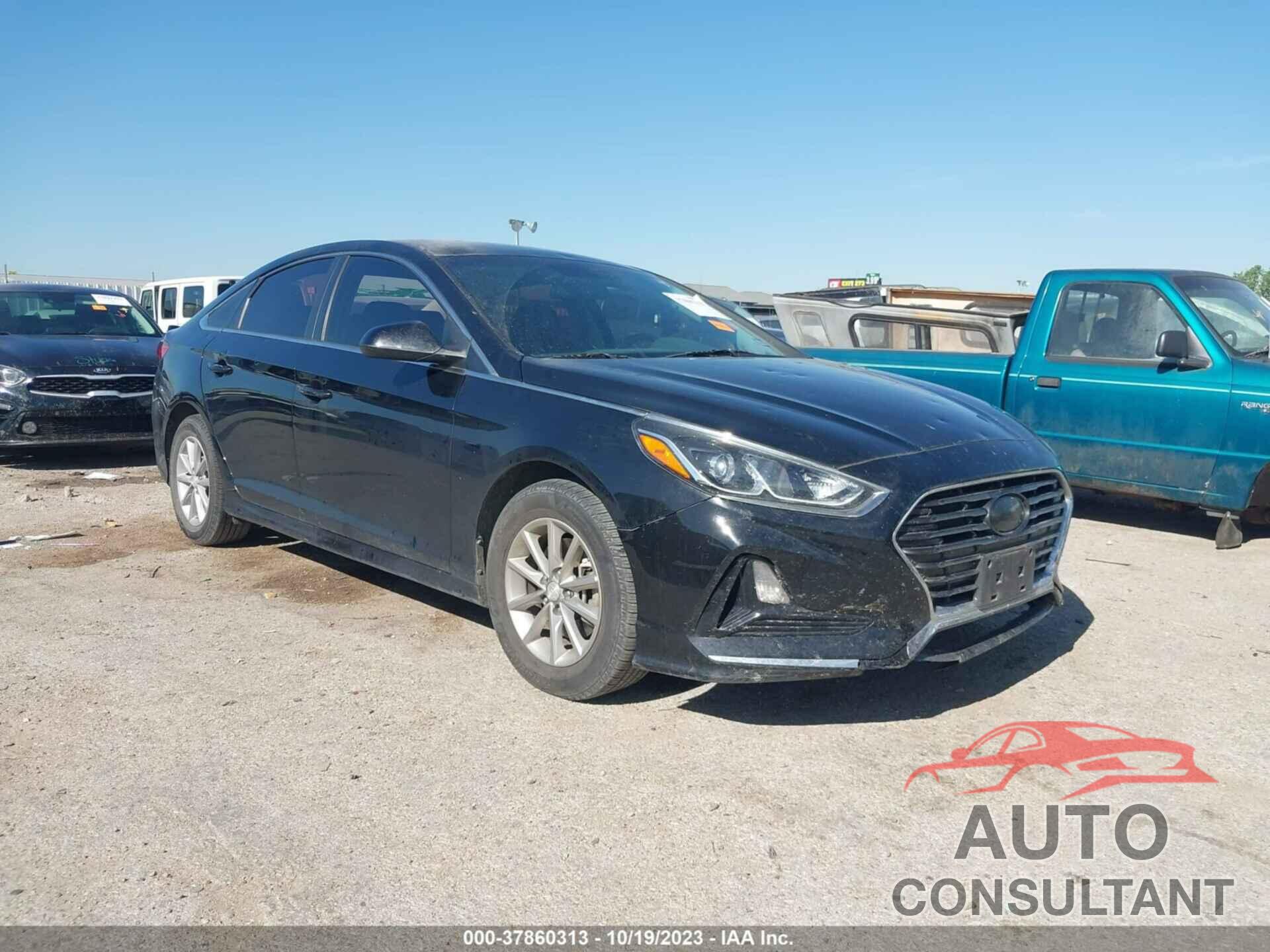HYUNDAI SONATA 2019 - 5NPE24AF6KH743987